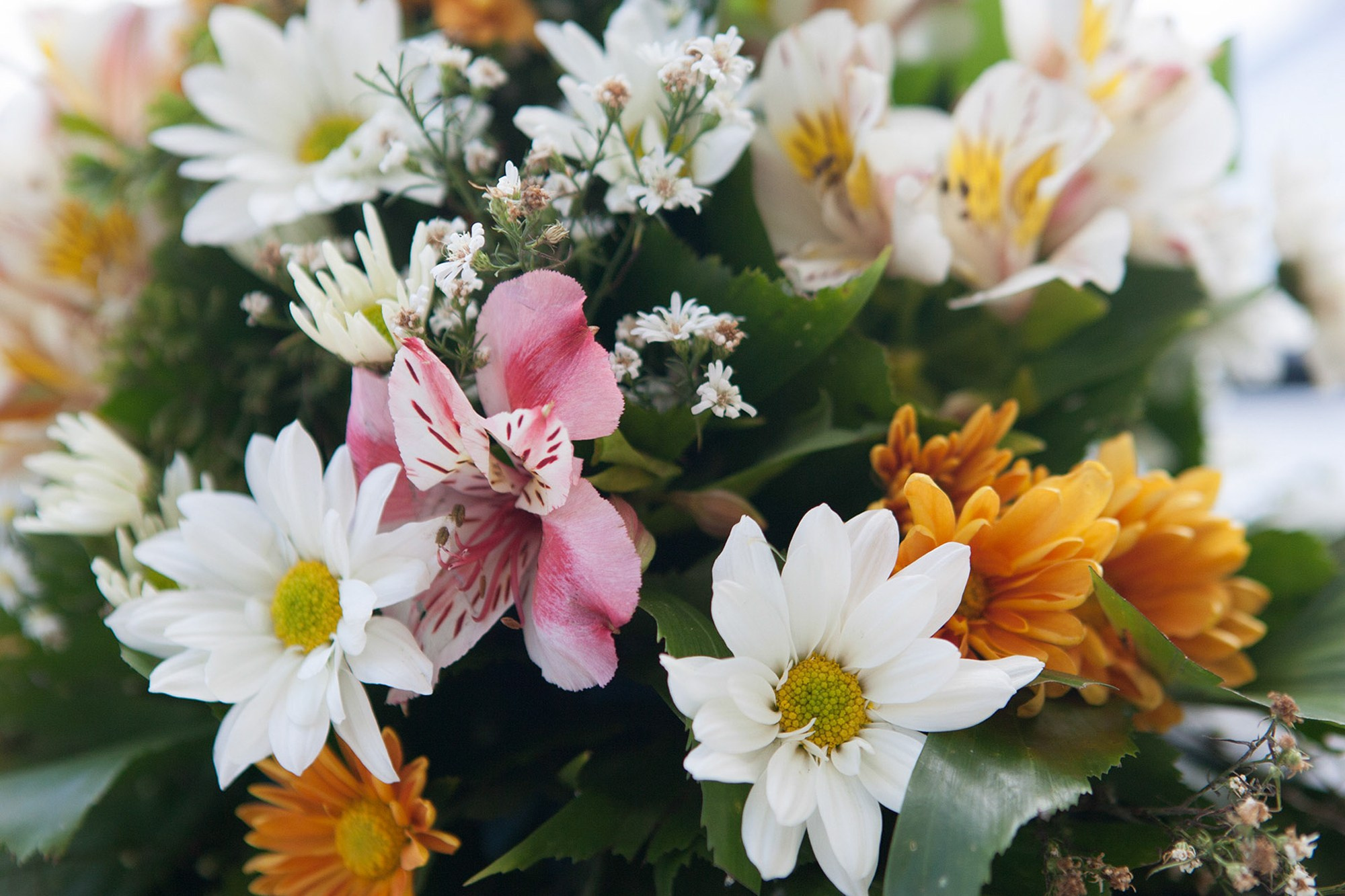 Фото и видео съемка мероприятия. Фото и видеосъемка