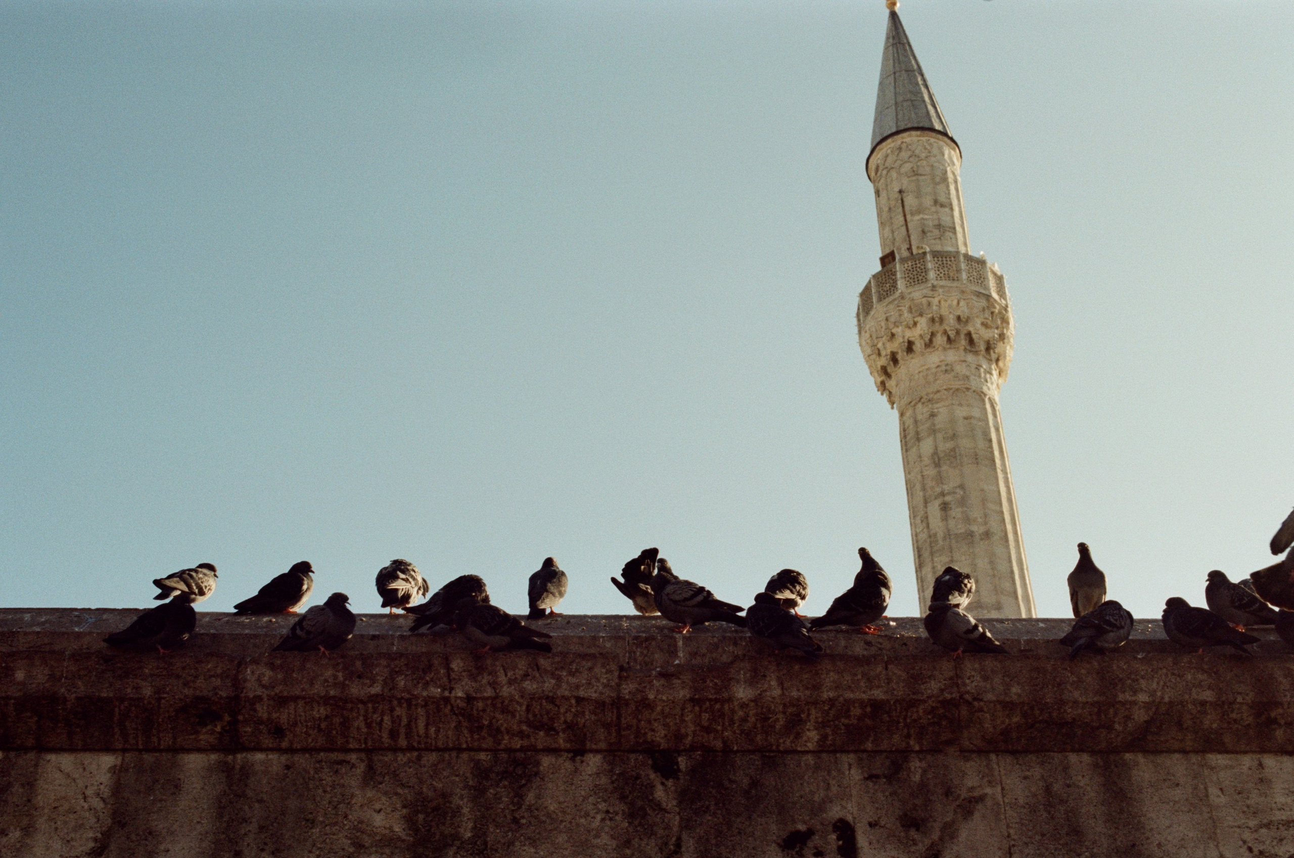 Complicated // turkey, istanbul II. EVER EXPOSED
