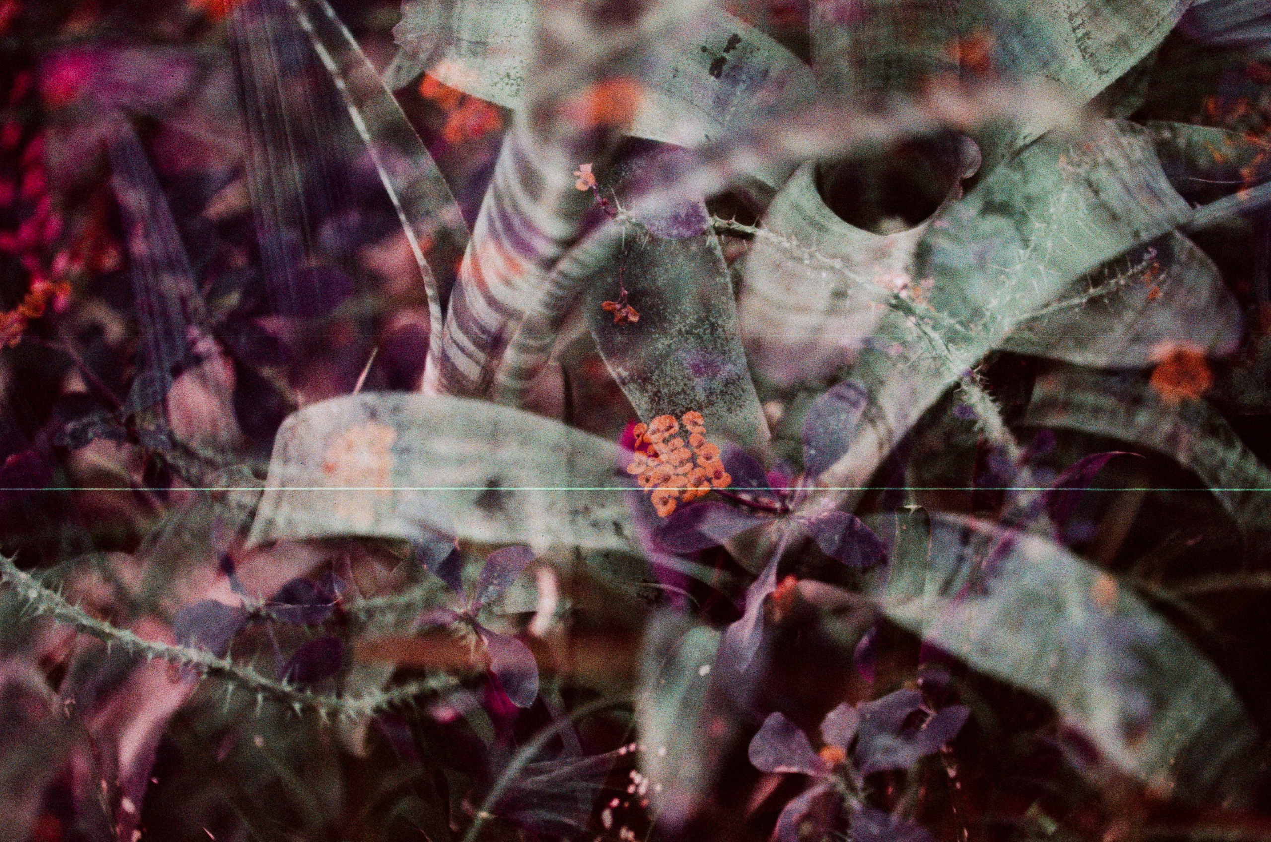 Pain shopping // ukraine, crimea II. EVER EXPOSED