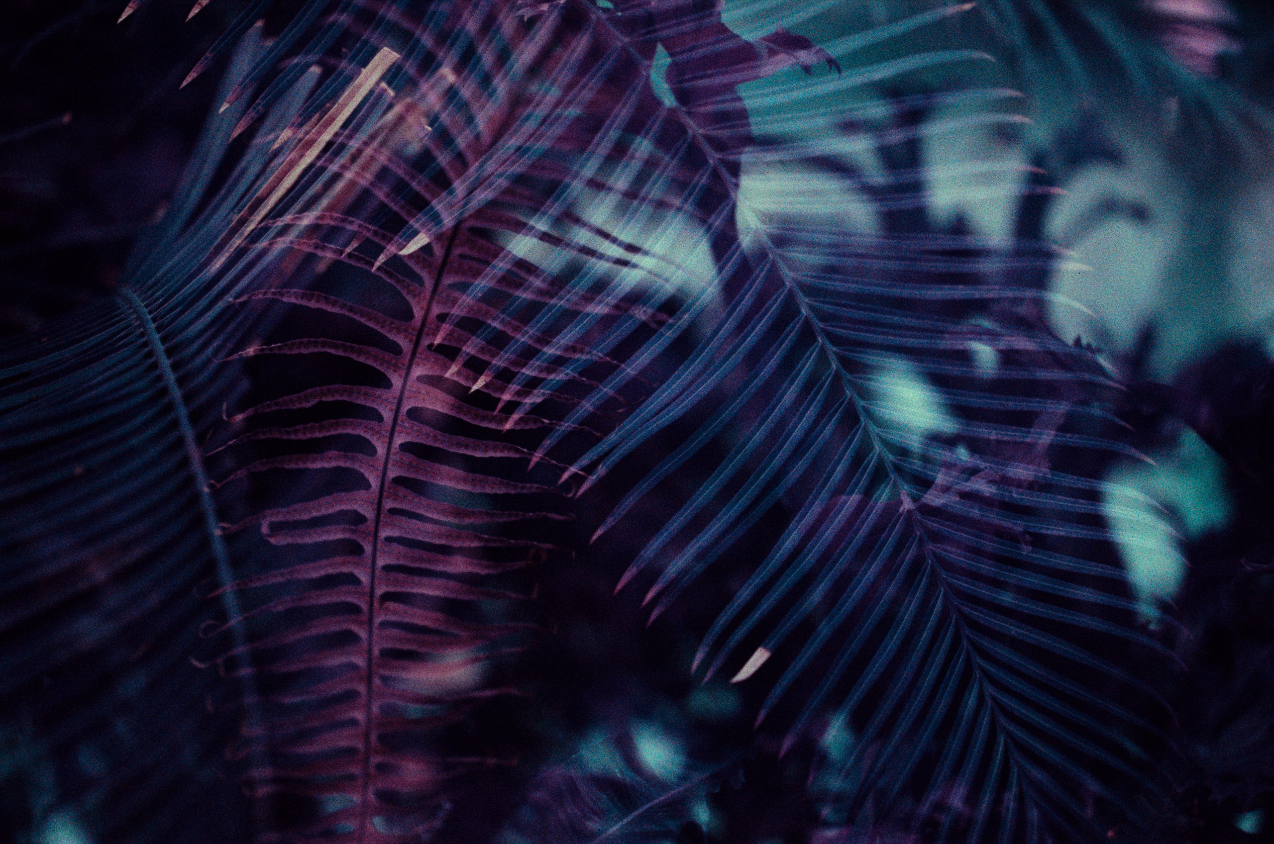 Everything i could never say to you. EVER EXPOSED