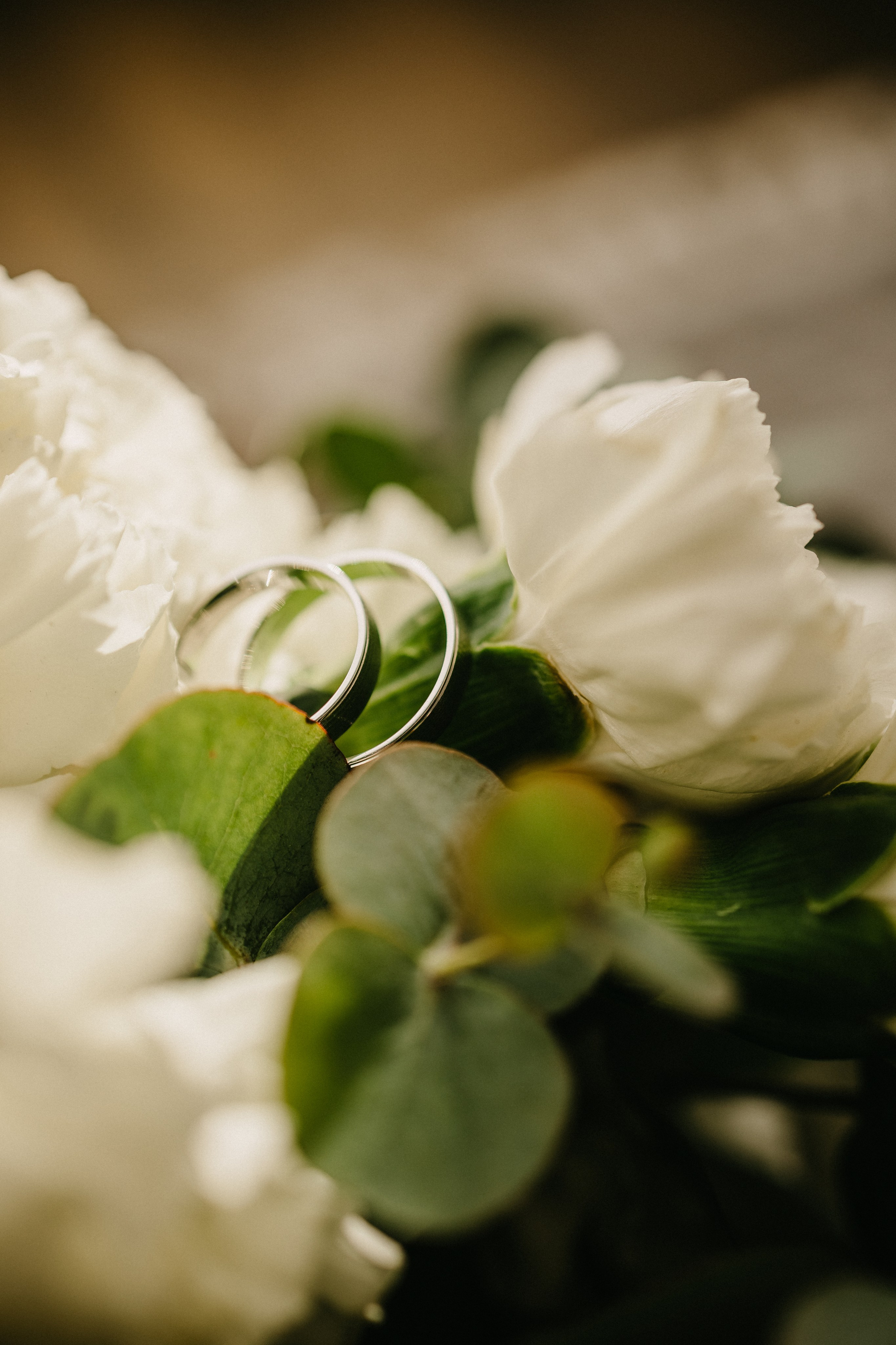 FAMILY PARTY. Фотограф Абронина Любовь | Москва