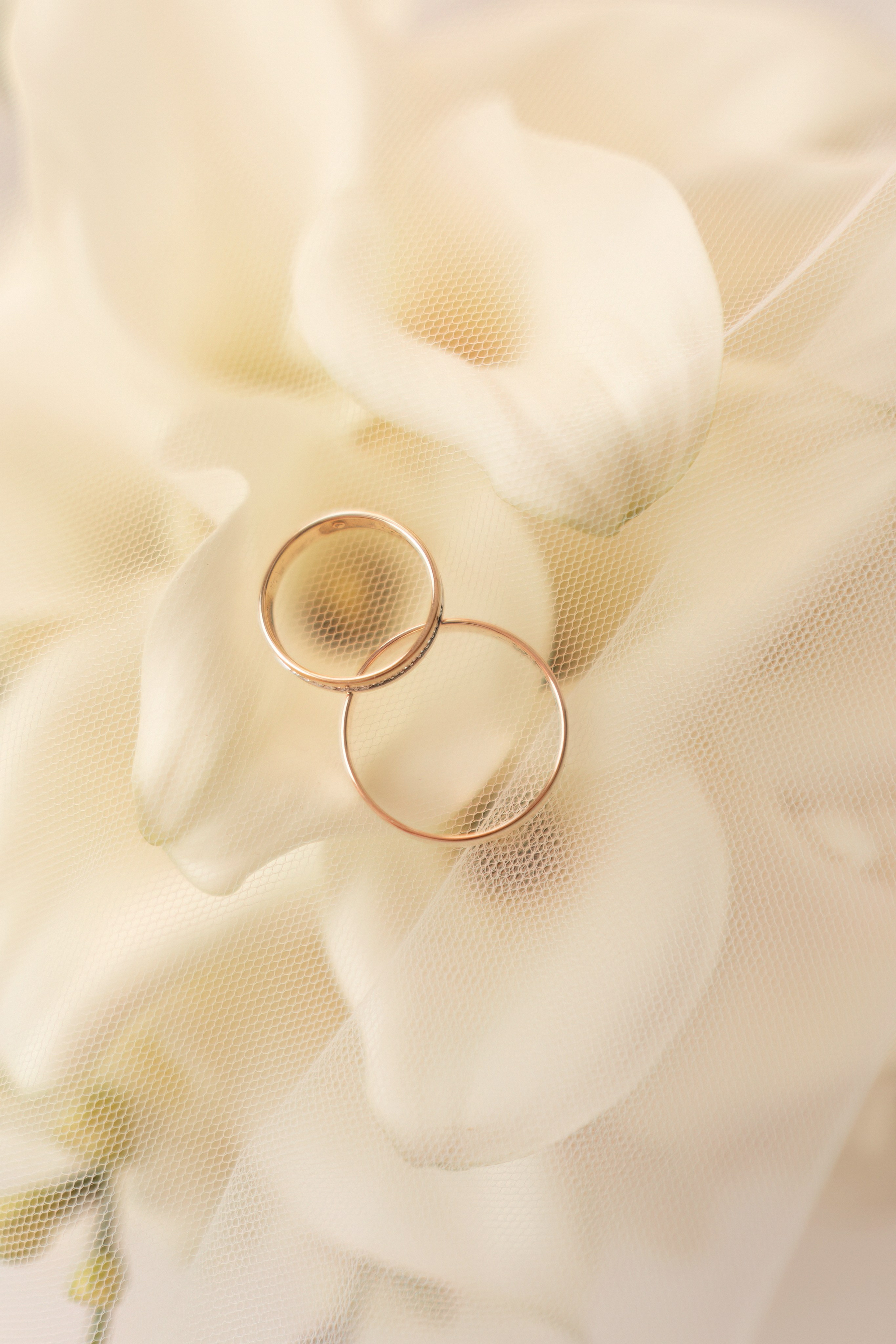 Алиса и Виктор. Свадебный фотограф в Барнауле Четошникова Анна