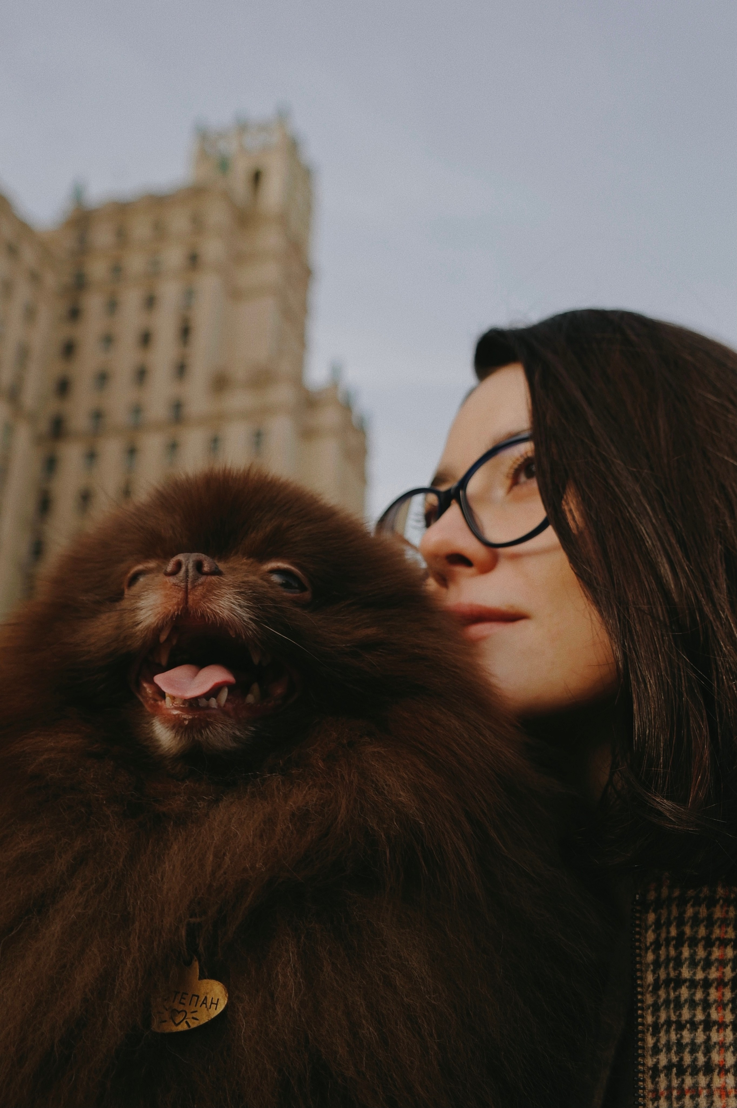 Питомцы. Татьян гертье