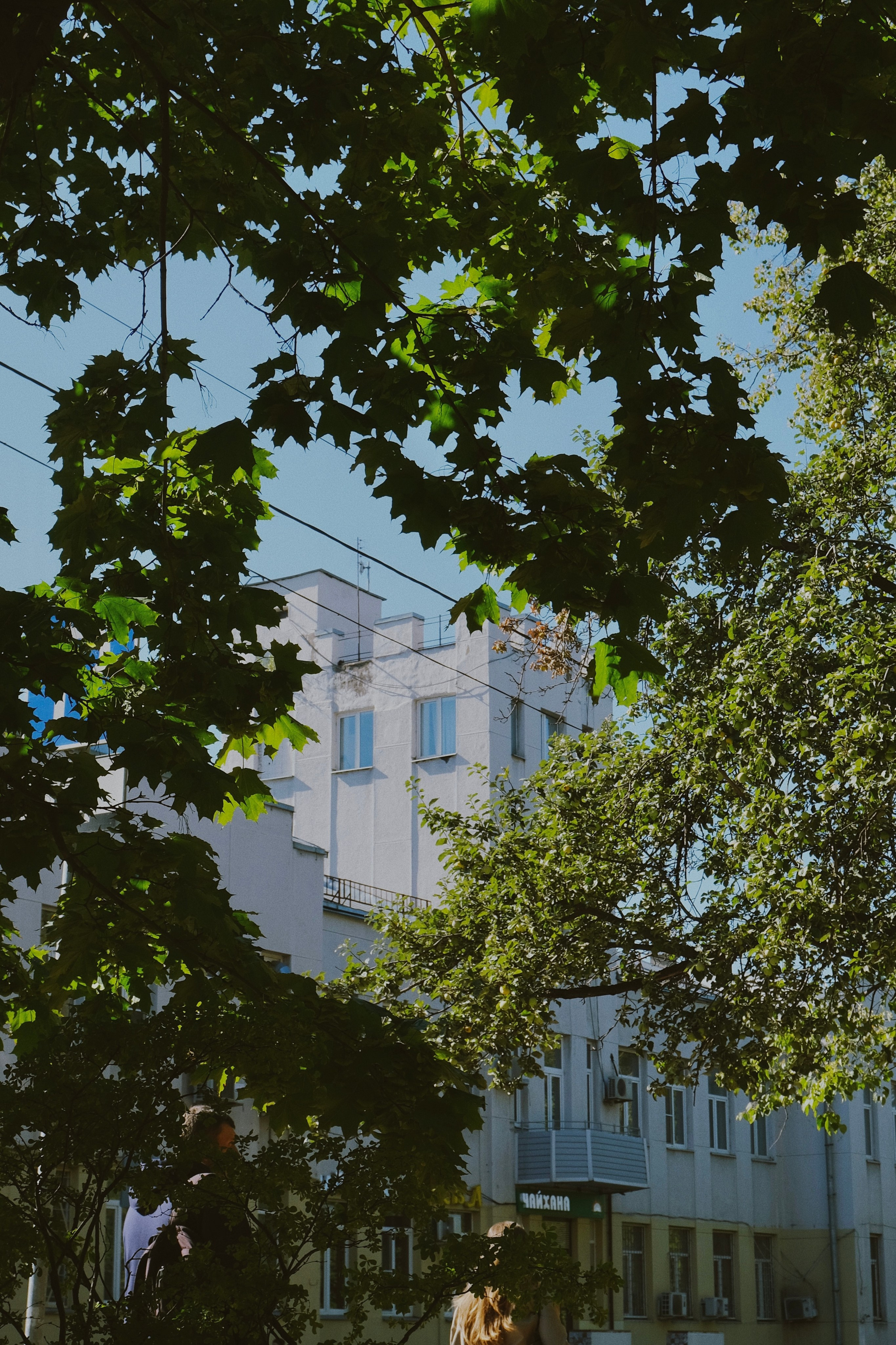 Москва. Татьян гертье