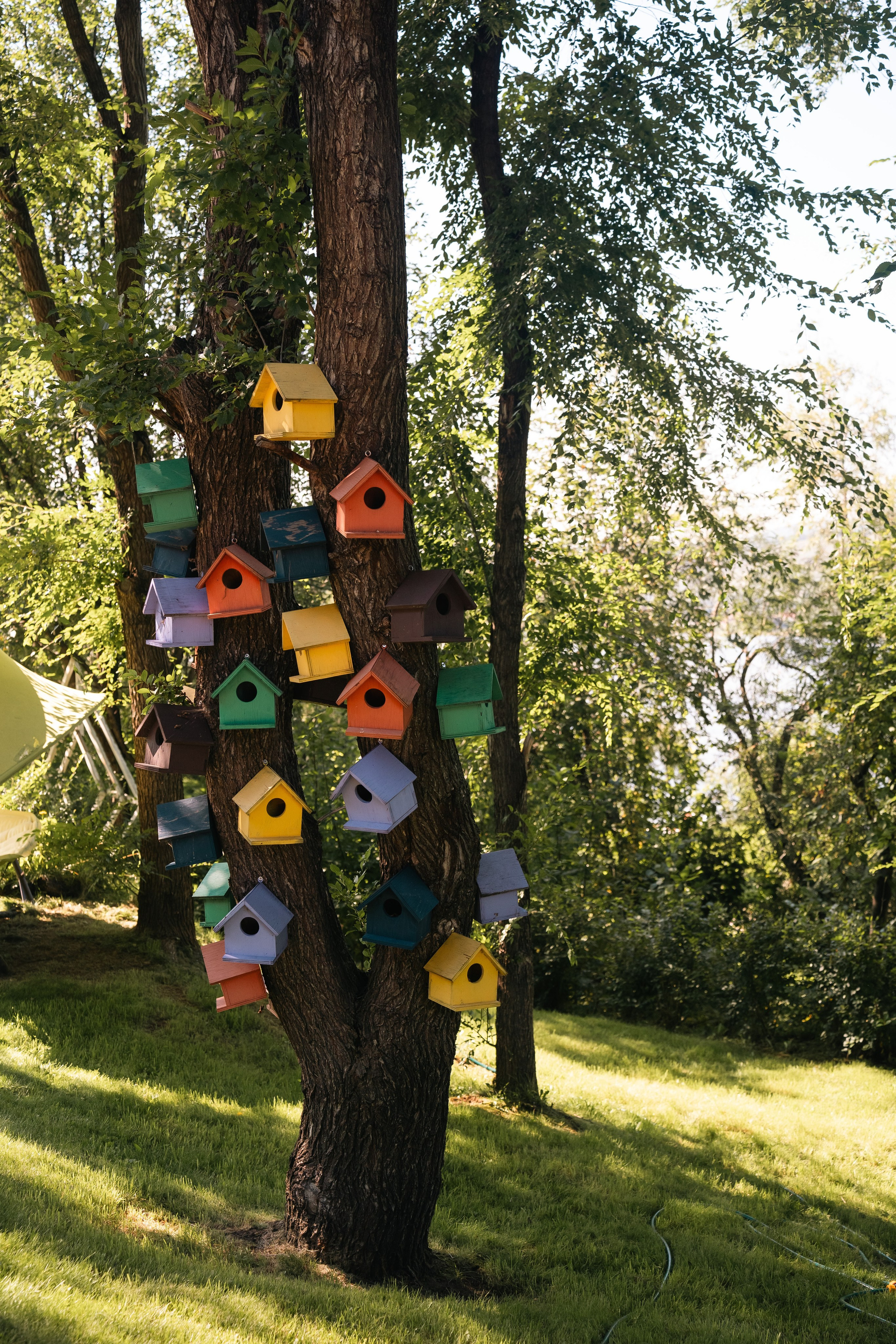 Леонид и Анастасия. Фотограф и видеограф Олег Игнатов | Свадьбы, Love Story, реклама и корпоративы — Красноярск