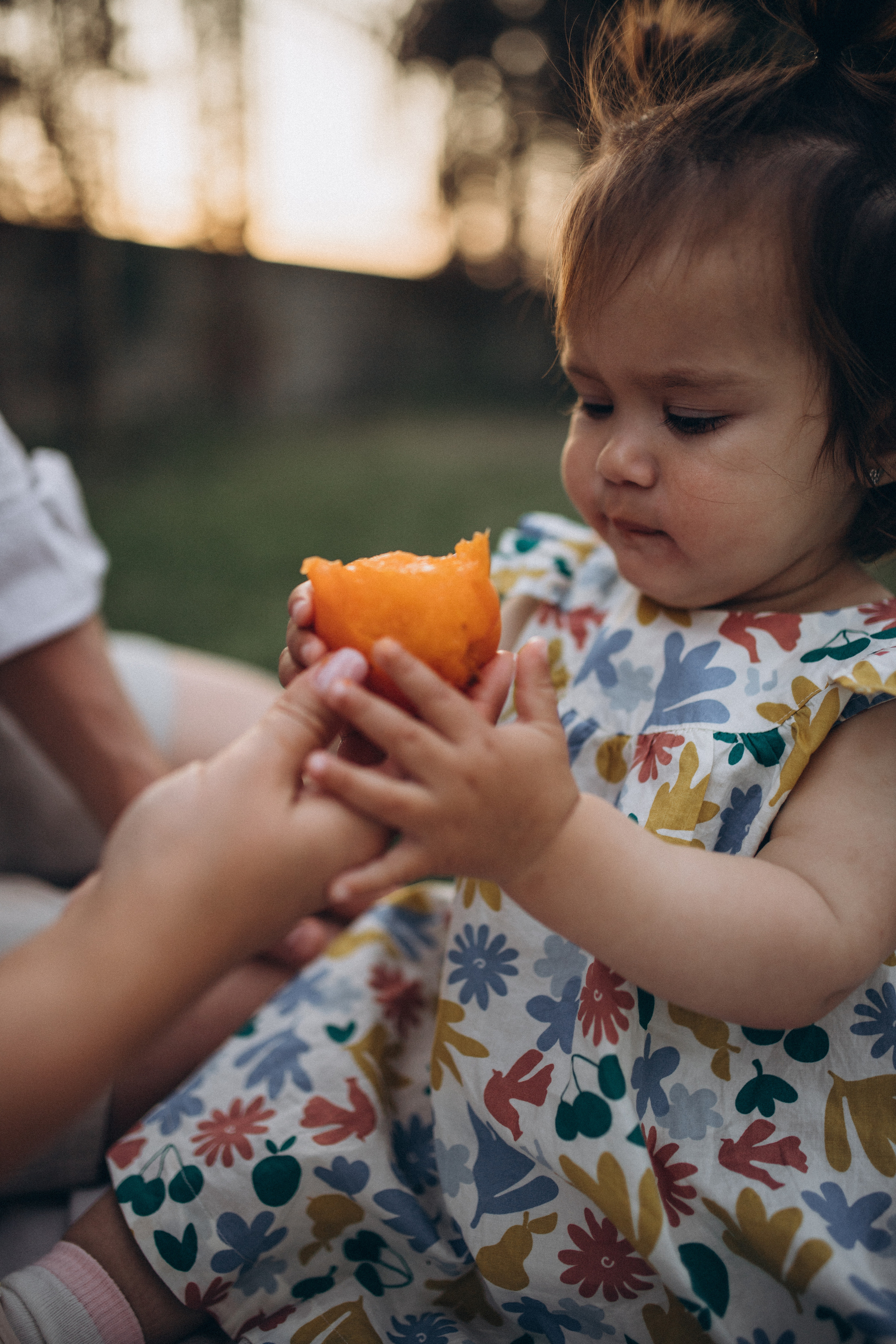 Прогулка у дома Ксении, Антона и Каролины. Главная