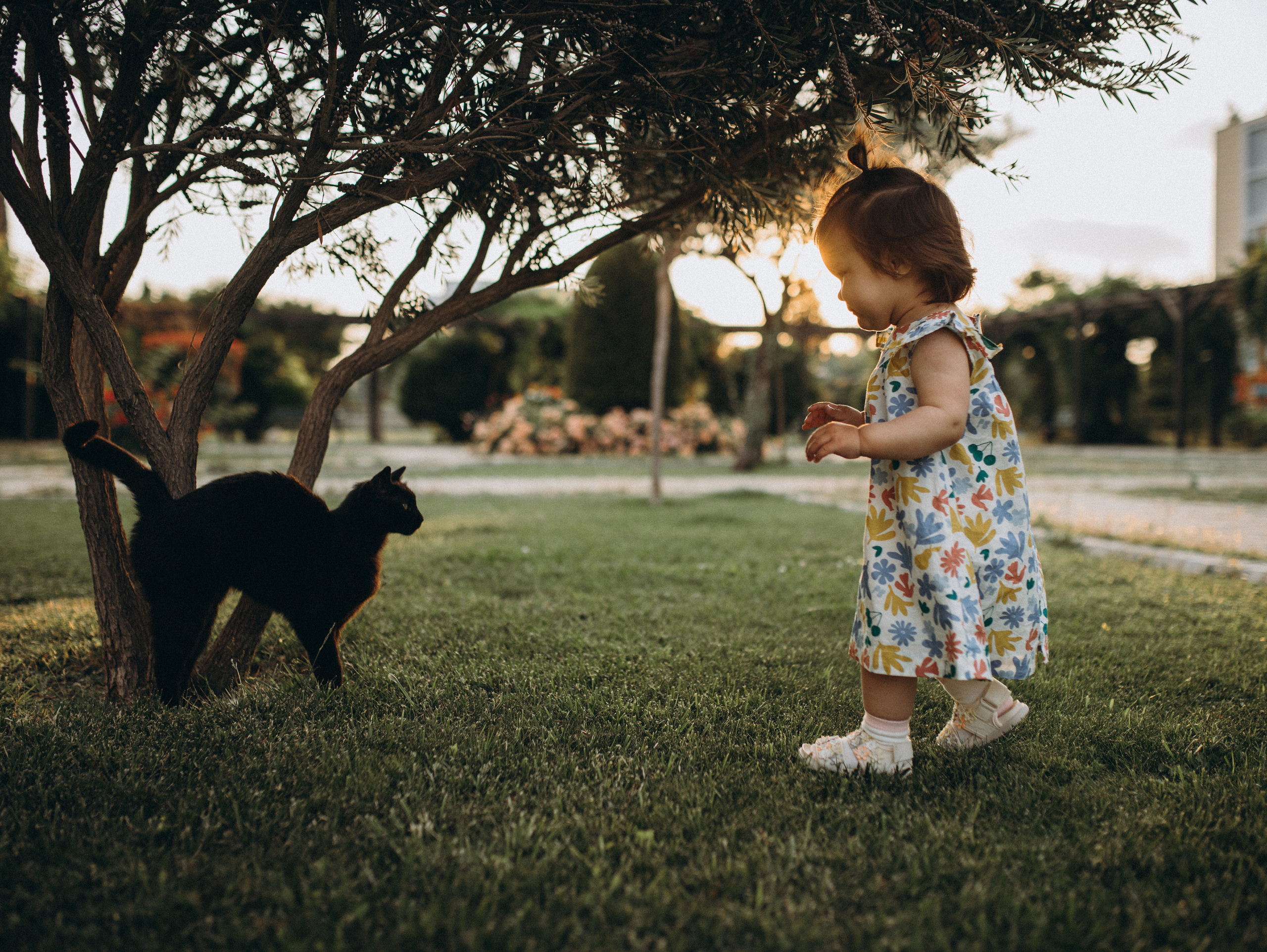 Прогулка у дома Ксении, Антона и Каролины. Главная
