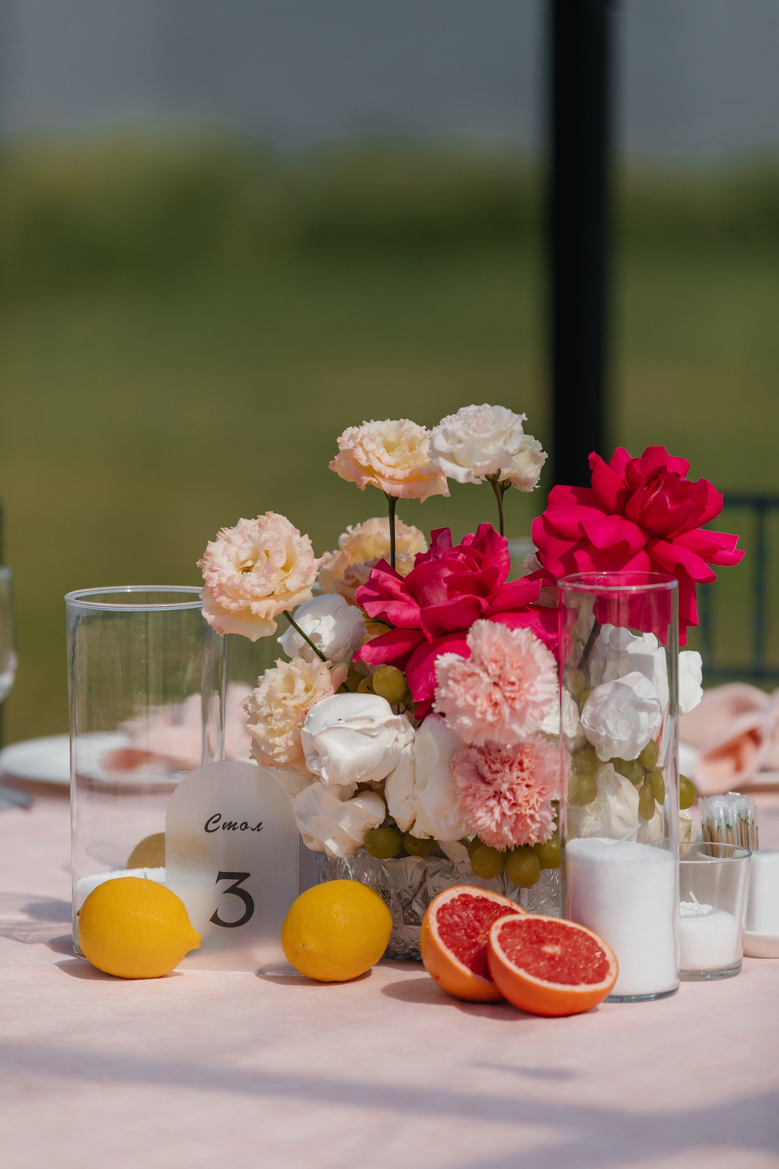 D&X. Фотограф Таганрог Хребет София