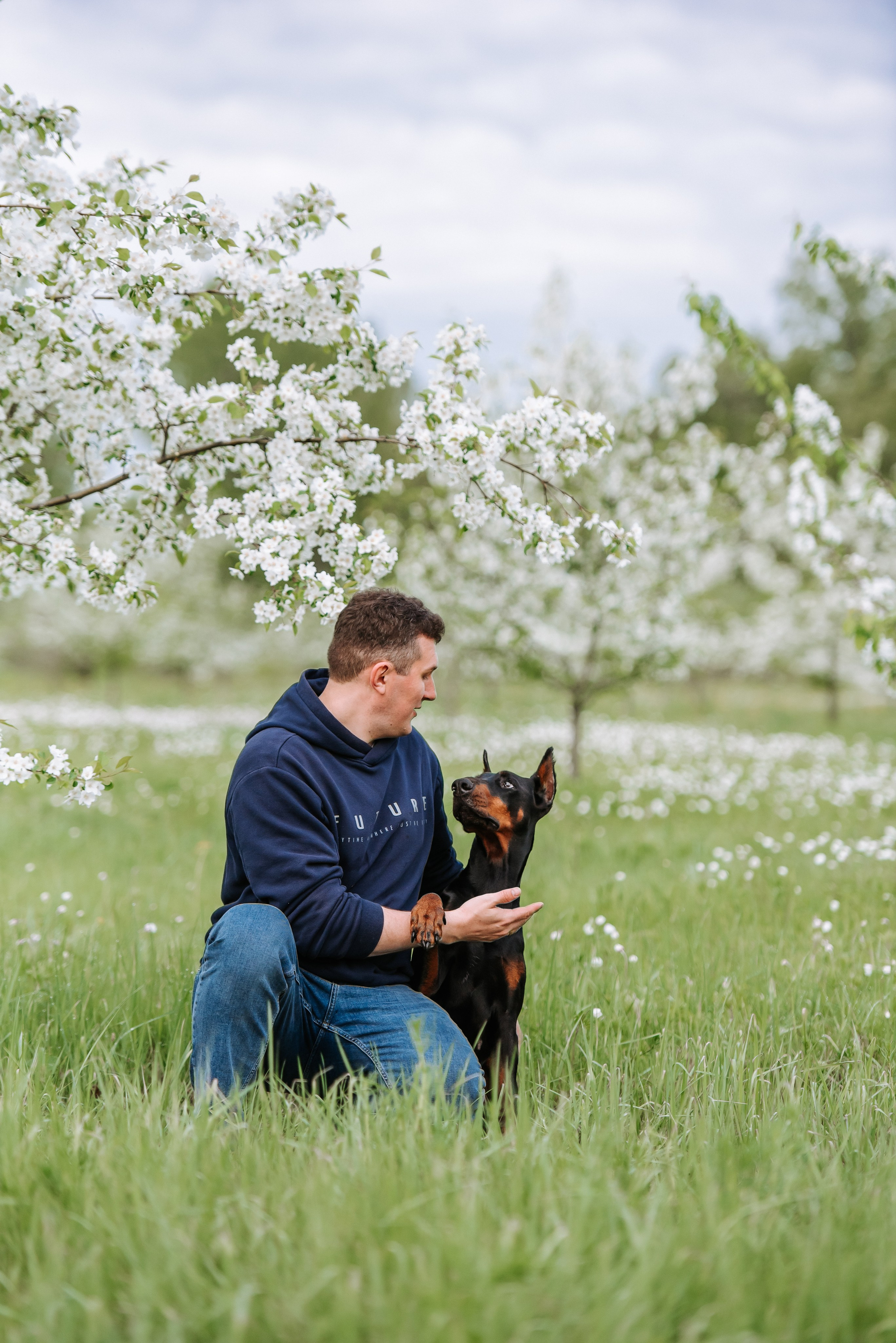 Цветение с доберманами. Фотограф Диана Оленина Красноярск / Братск