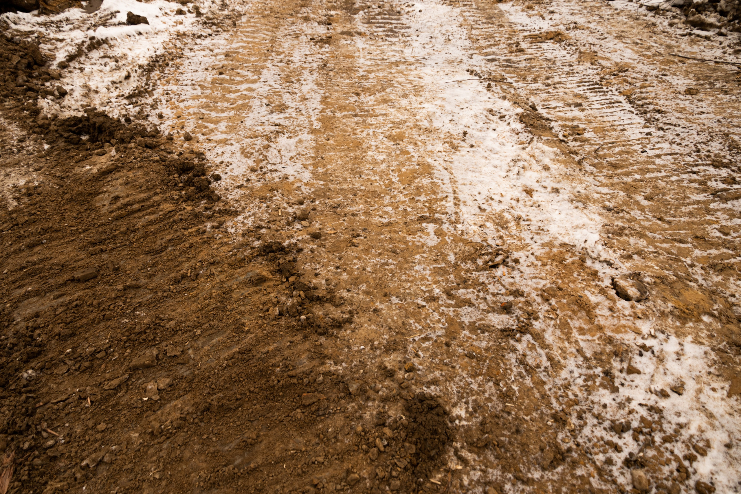 Я здесь живу. DASHA KALNINA