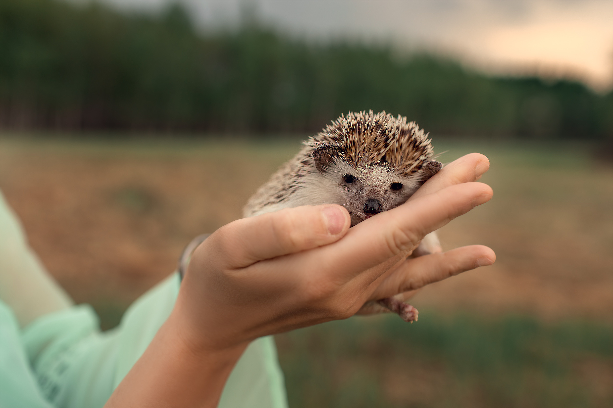 Индивидуальная съемка. Съемка новорожденных, детский и семейный фотограф Наталья Сметанина
