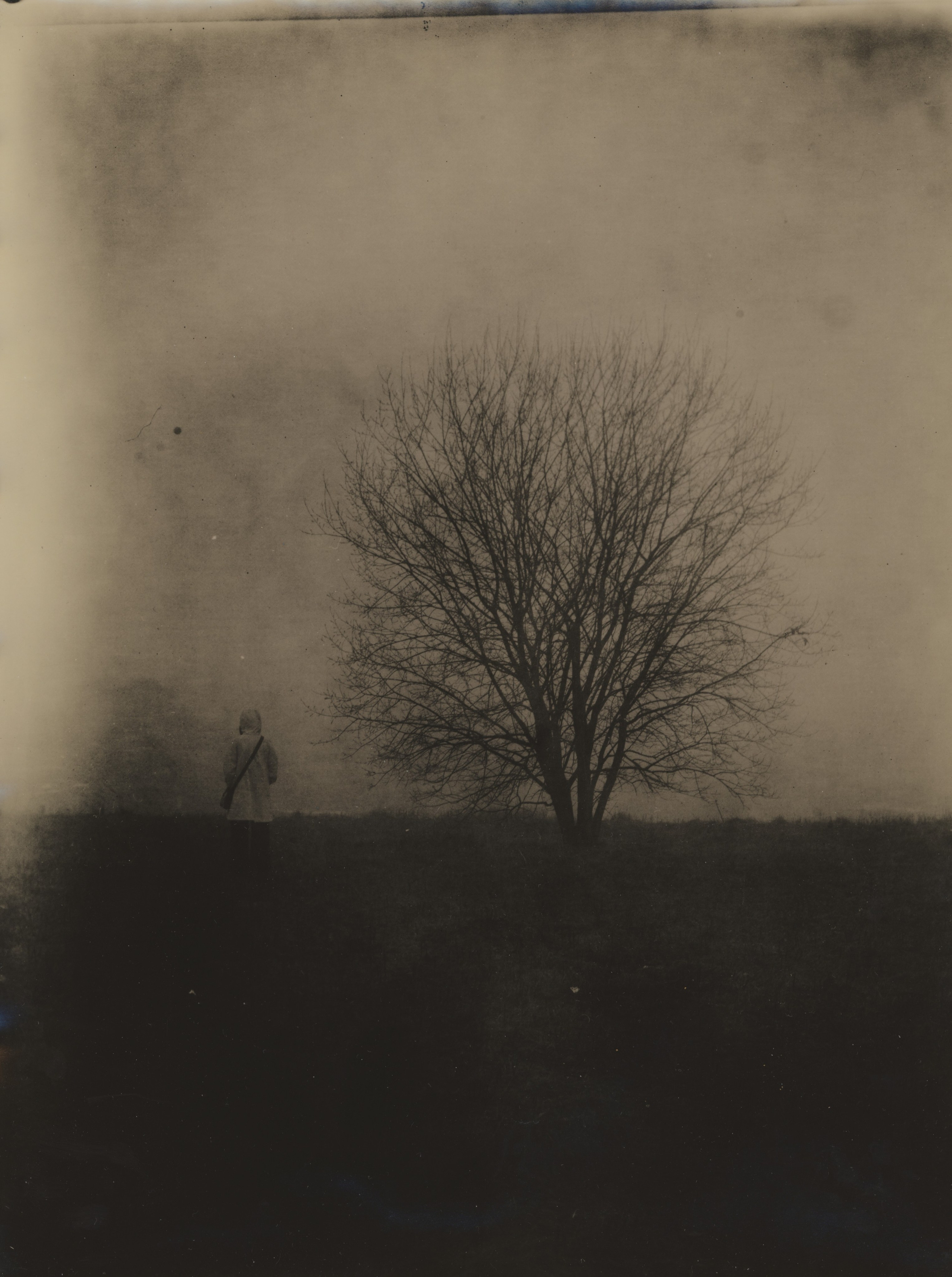 Lith prints. Darkroom aesthetics