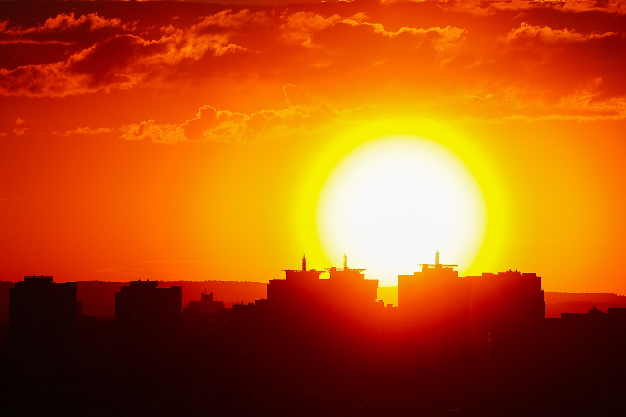 Фотографии природных явлений и животных. Фотограф Андрей Македонский