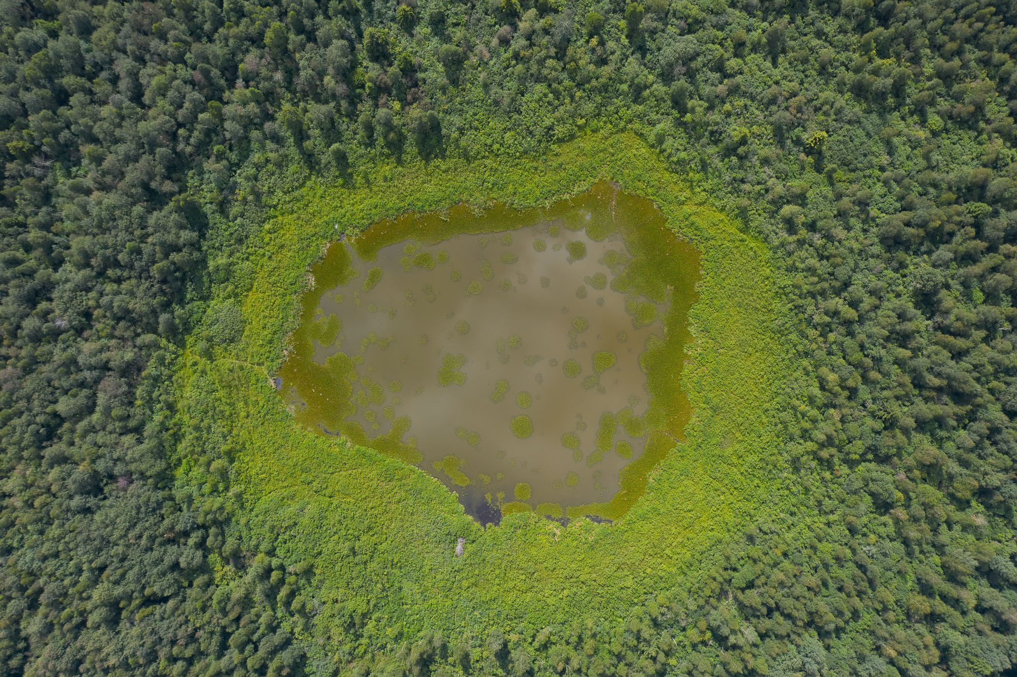 Аэросъемка. Фотограф Андрей Македонский