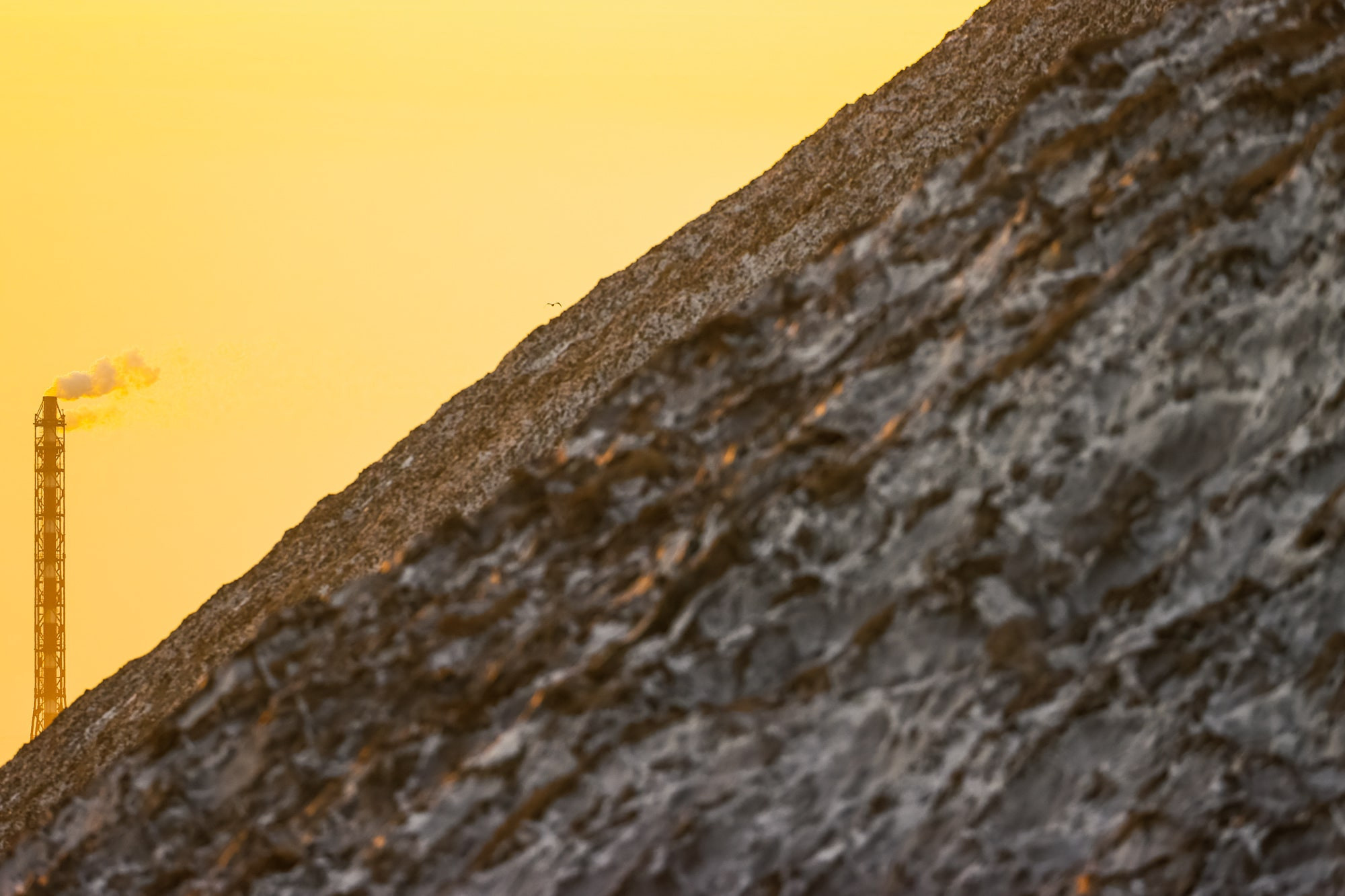 Фотографии природных явлений и животных. Фотограф Андрей Македонский