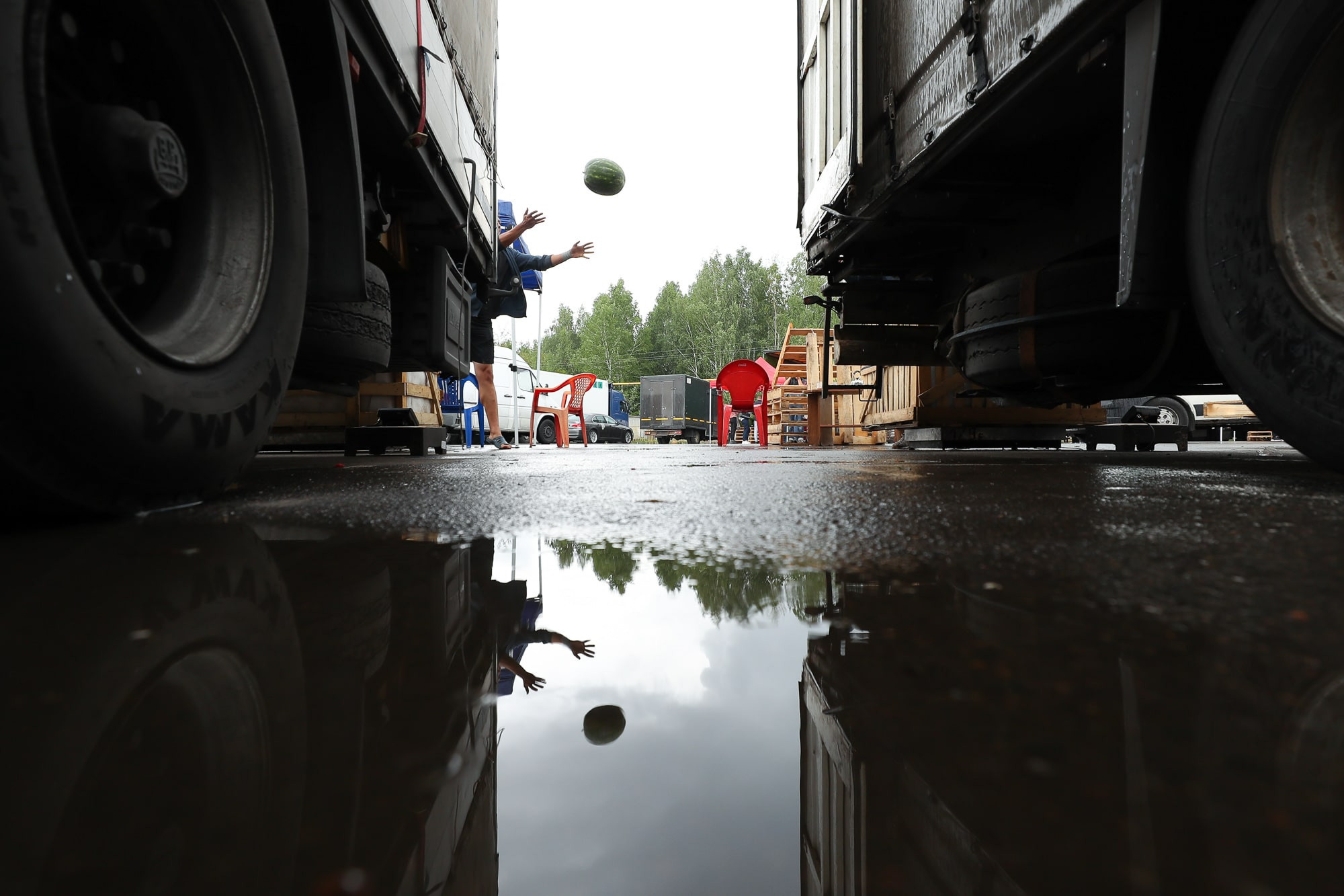 Продажа арбузов на рынке 