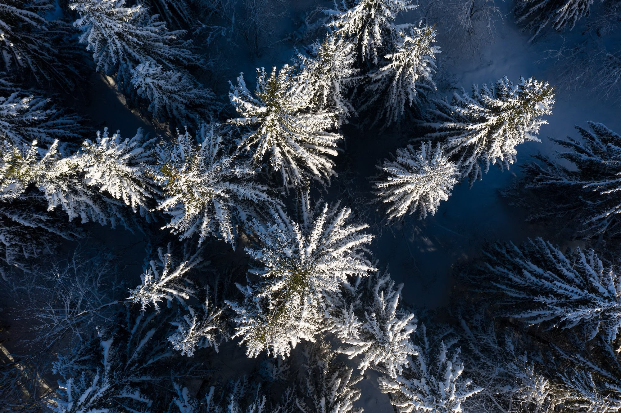 Аэросъемка. Фотограф Андрей Македонский