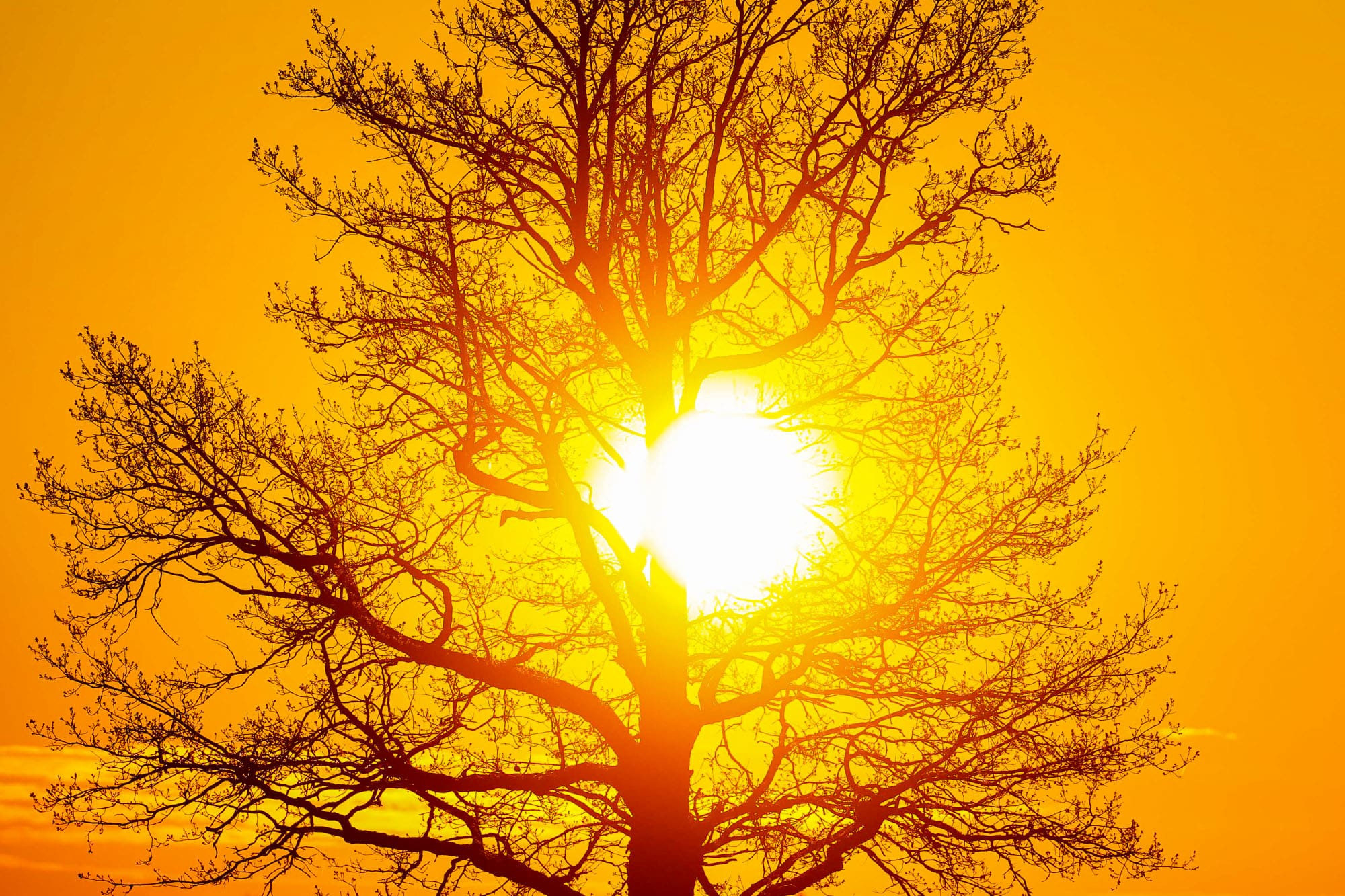 Фотографии природных явлений и животных. Фотограф Андрей Македонский