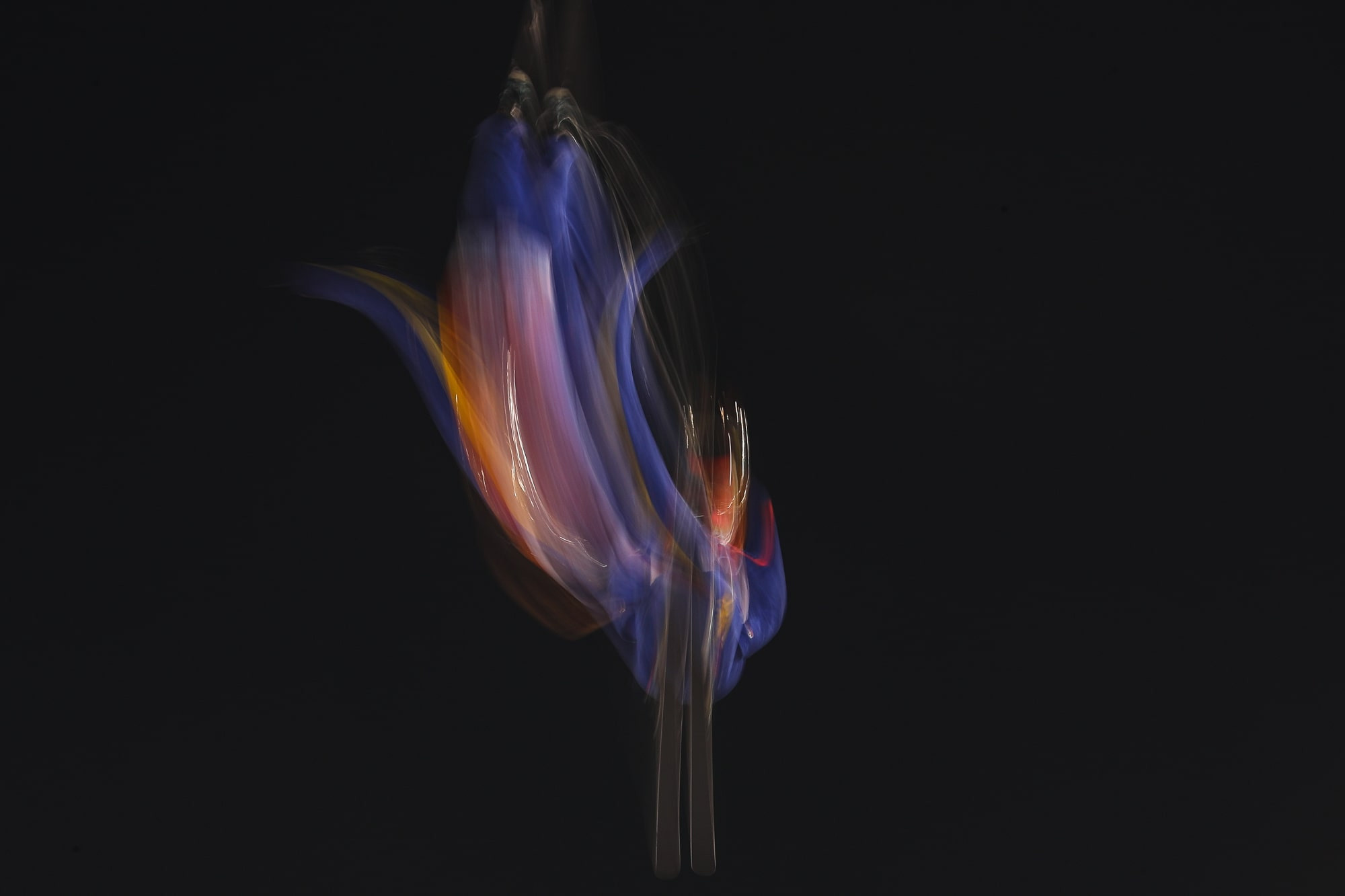 Лыжная акробатика