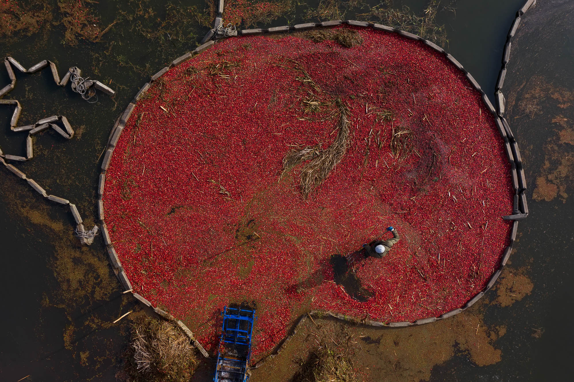 Аэросъемка. Фотограф Андрей Македонский