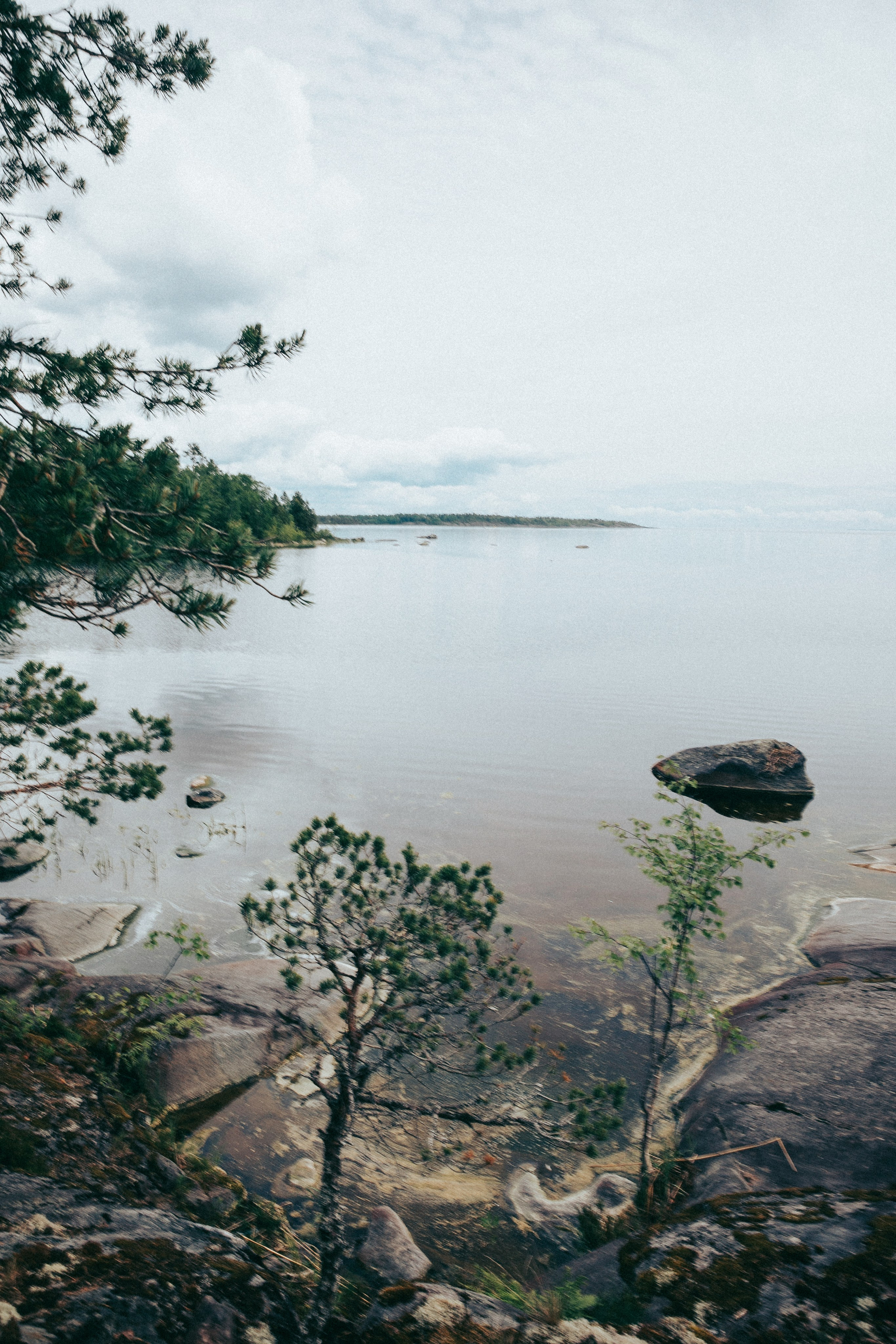 Папа и дочка. Фотограф в Москве Шаганова Нина