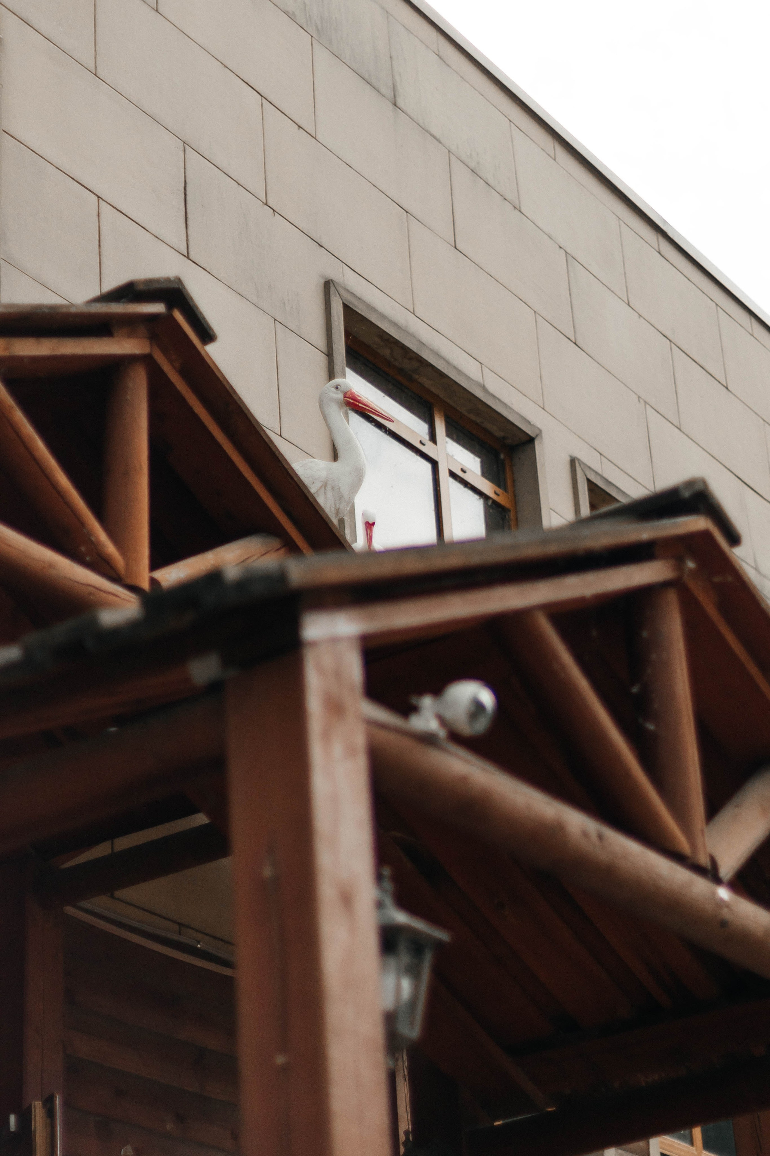 Константин и Елена. Свадебный фотограф в Иркутске Анна Малюшова