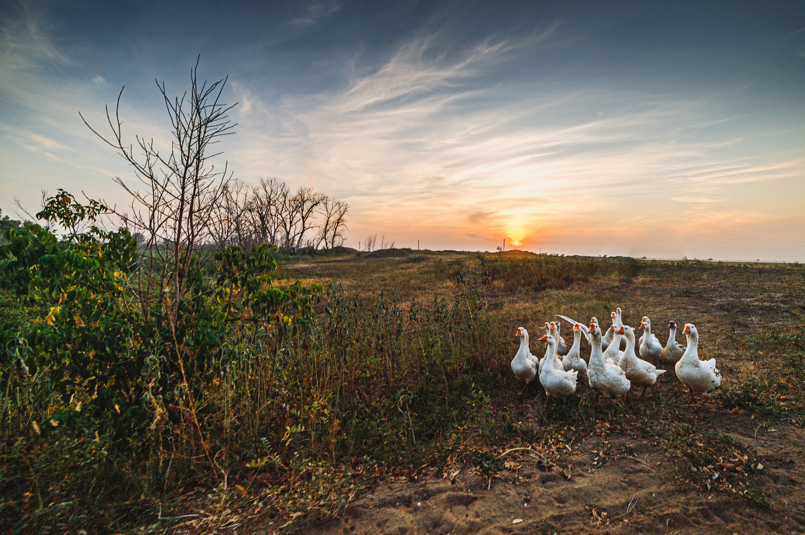 Пейзажи. Фотограф в Уральске | Трищенков Гордей