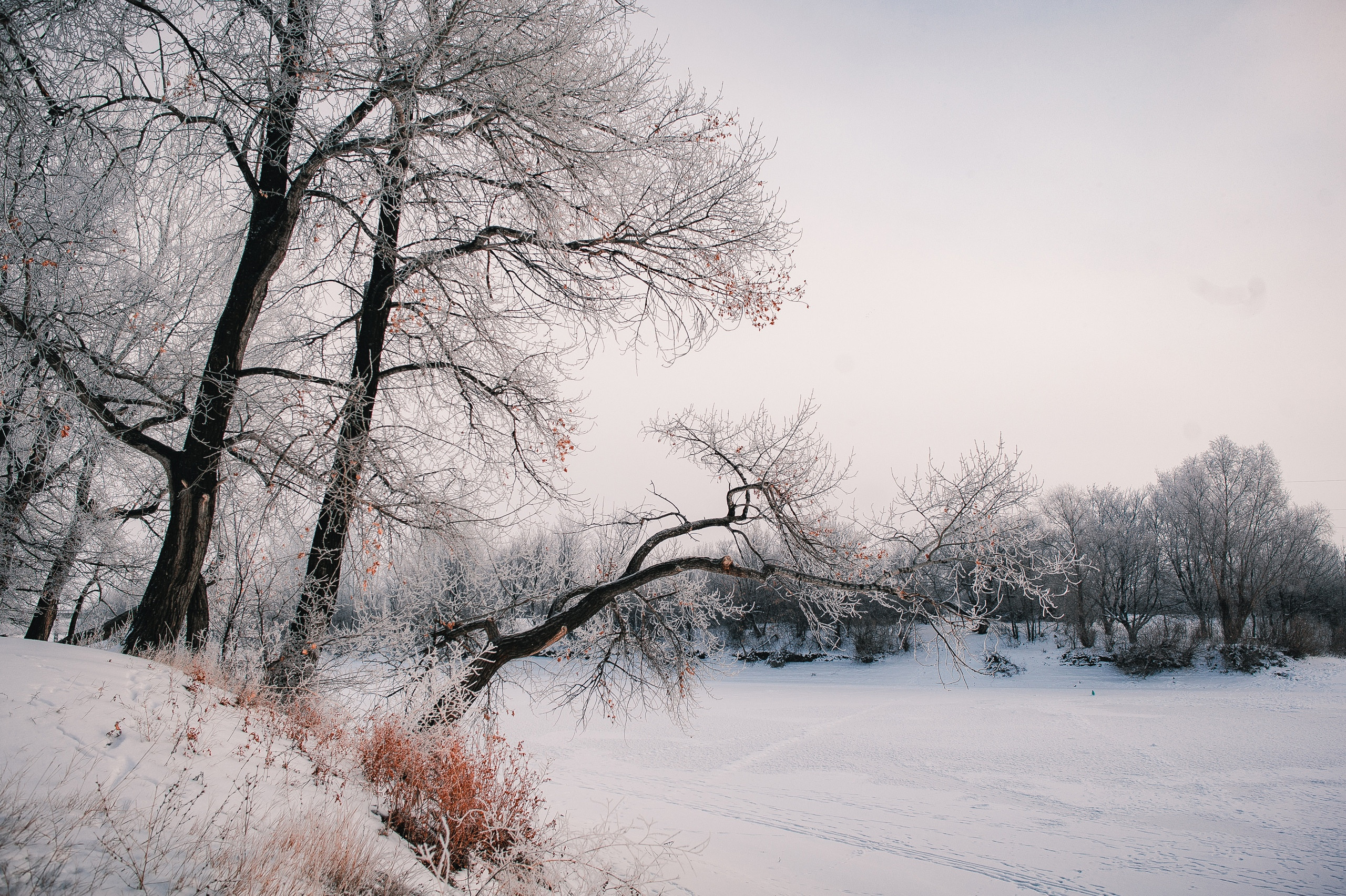 Пейзажи. Фотограф в Уральске | Трищенков Гордей
