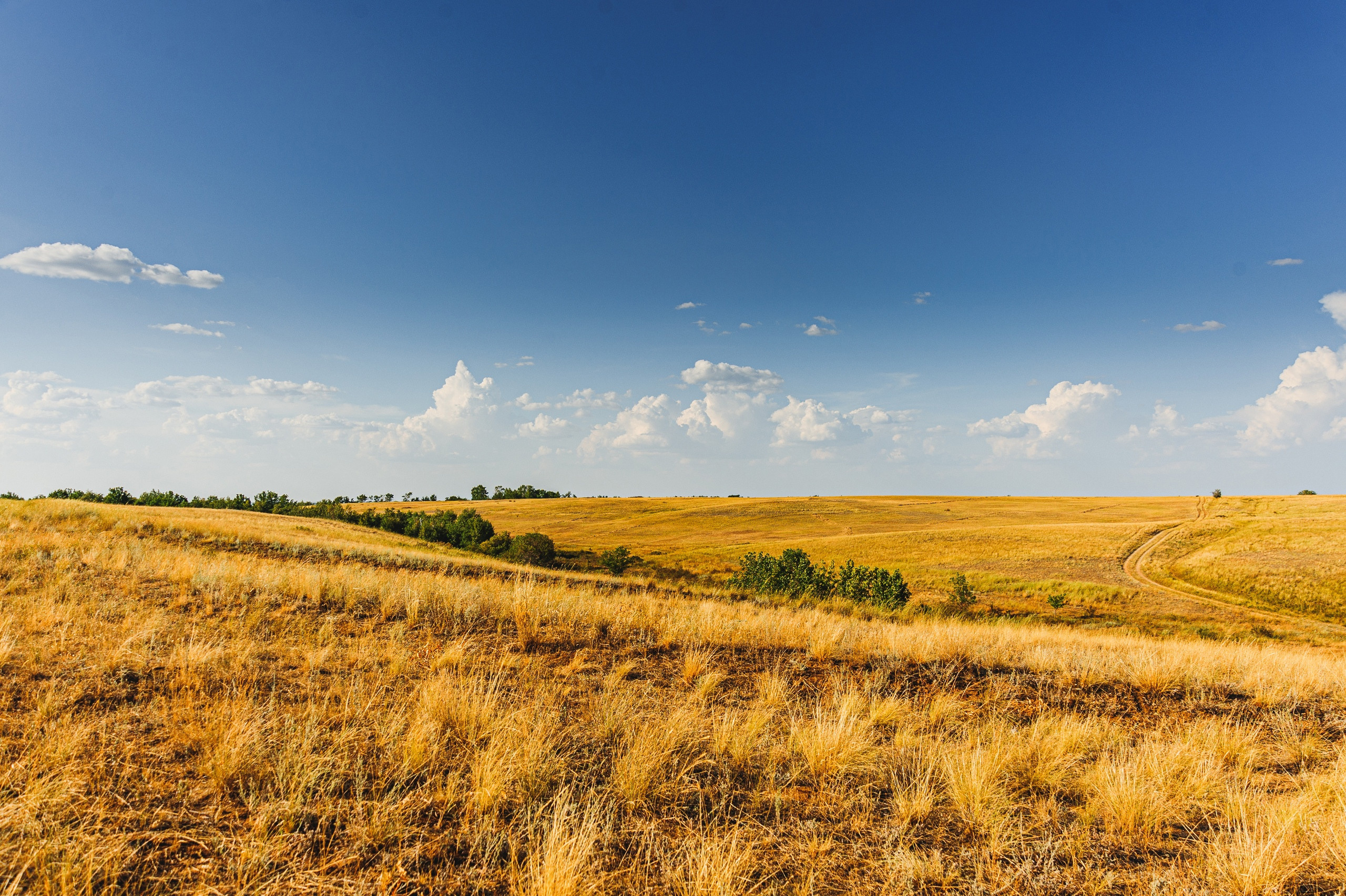 Теректа, Теректинский район, ЗКО