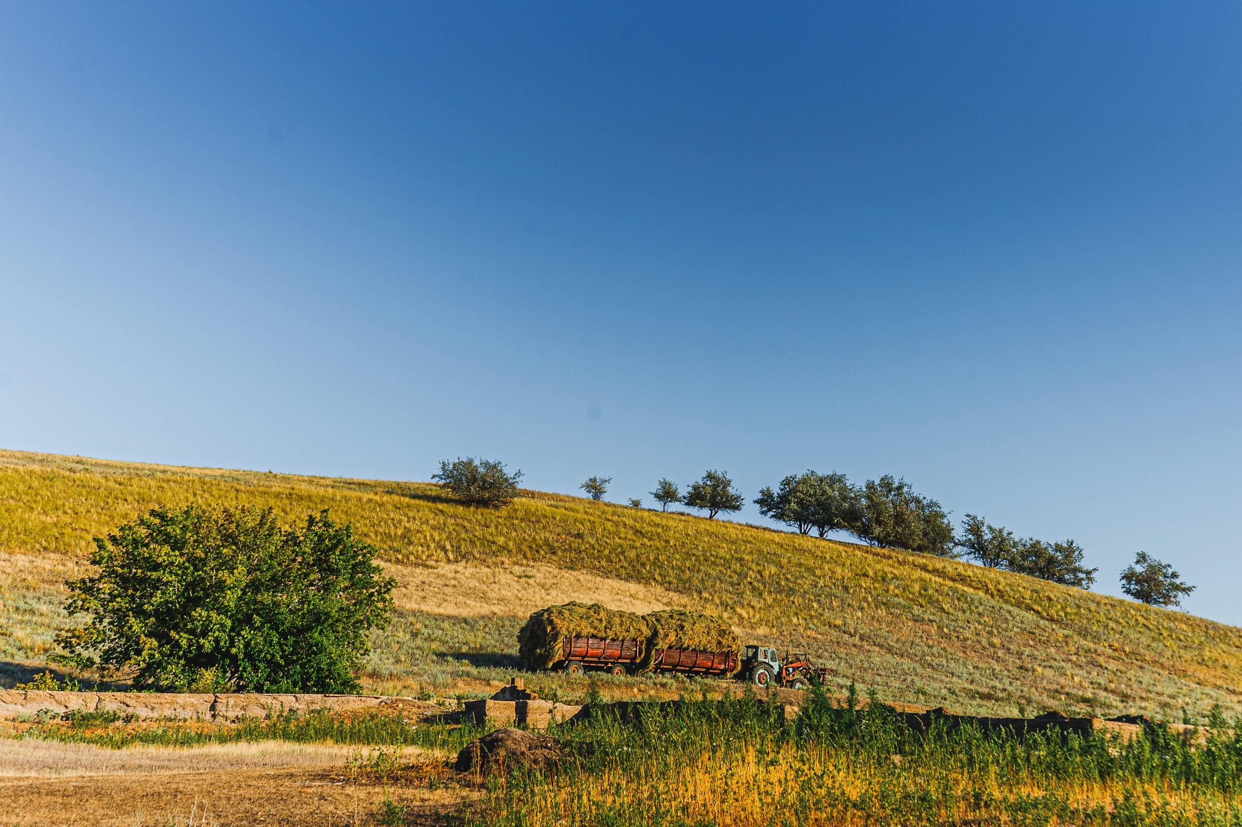 Теректа, Теректинский район, ЗКО