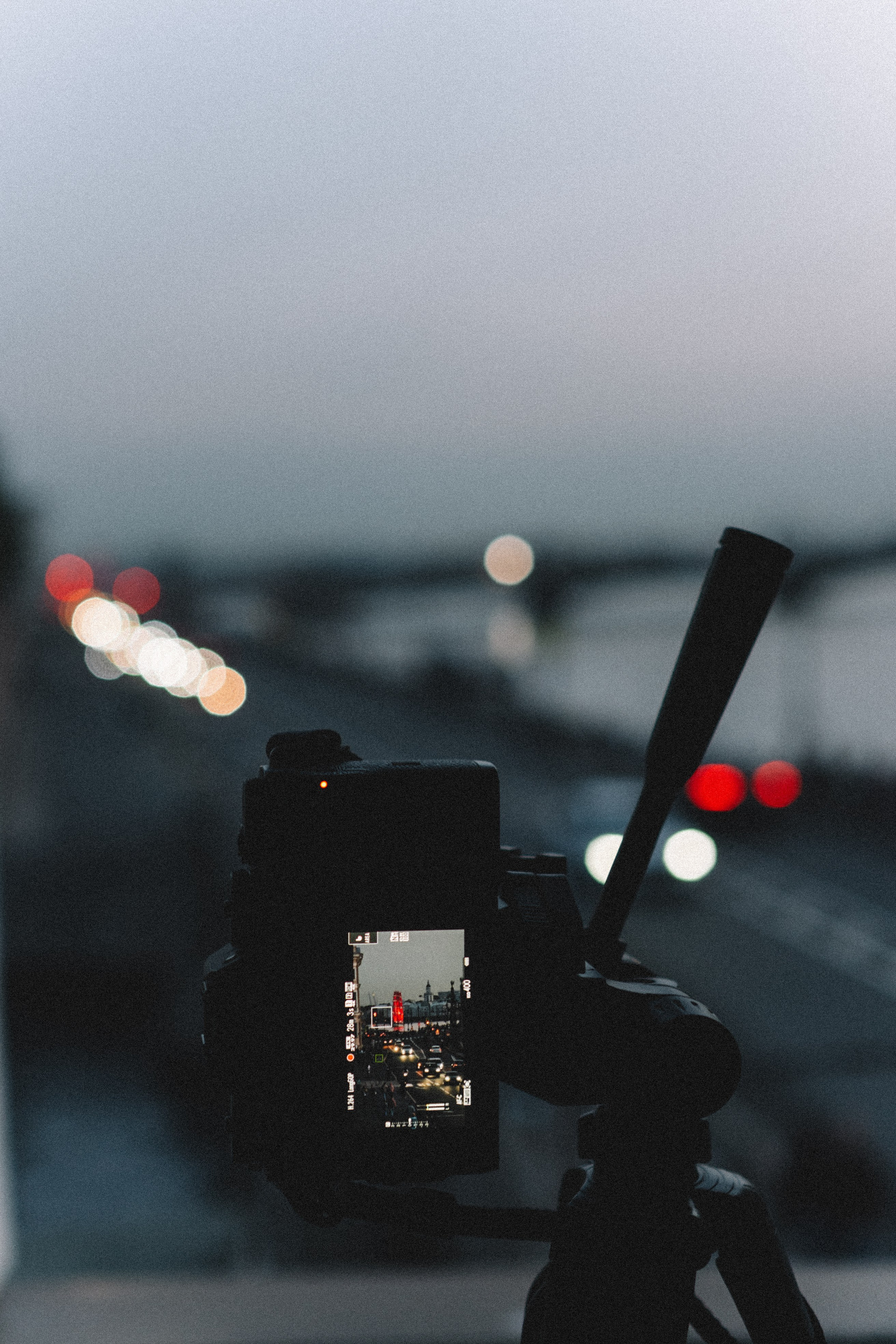 ЛЕТНИЙ ВЕЧЕР. Профессиональный фотограф, Санкт-Петербург — Виктория Богомолова