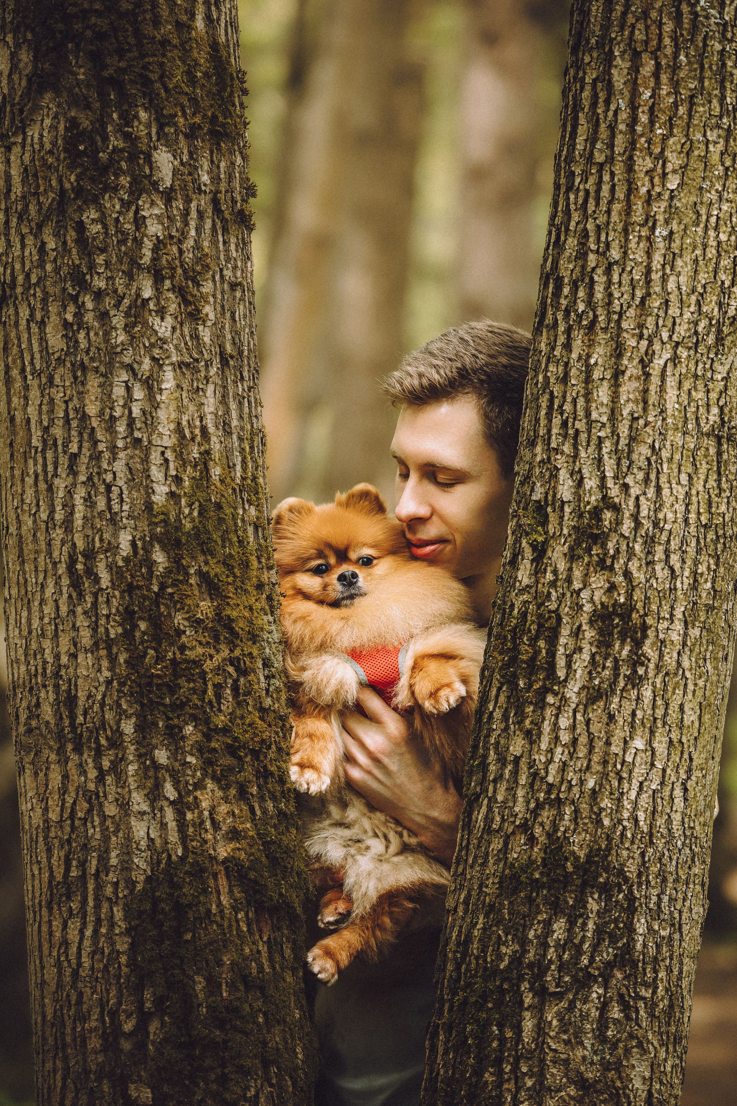 Лорик и его семья