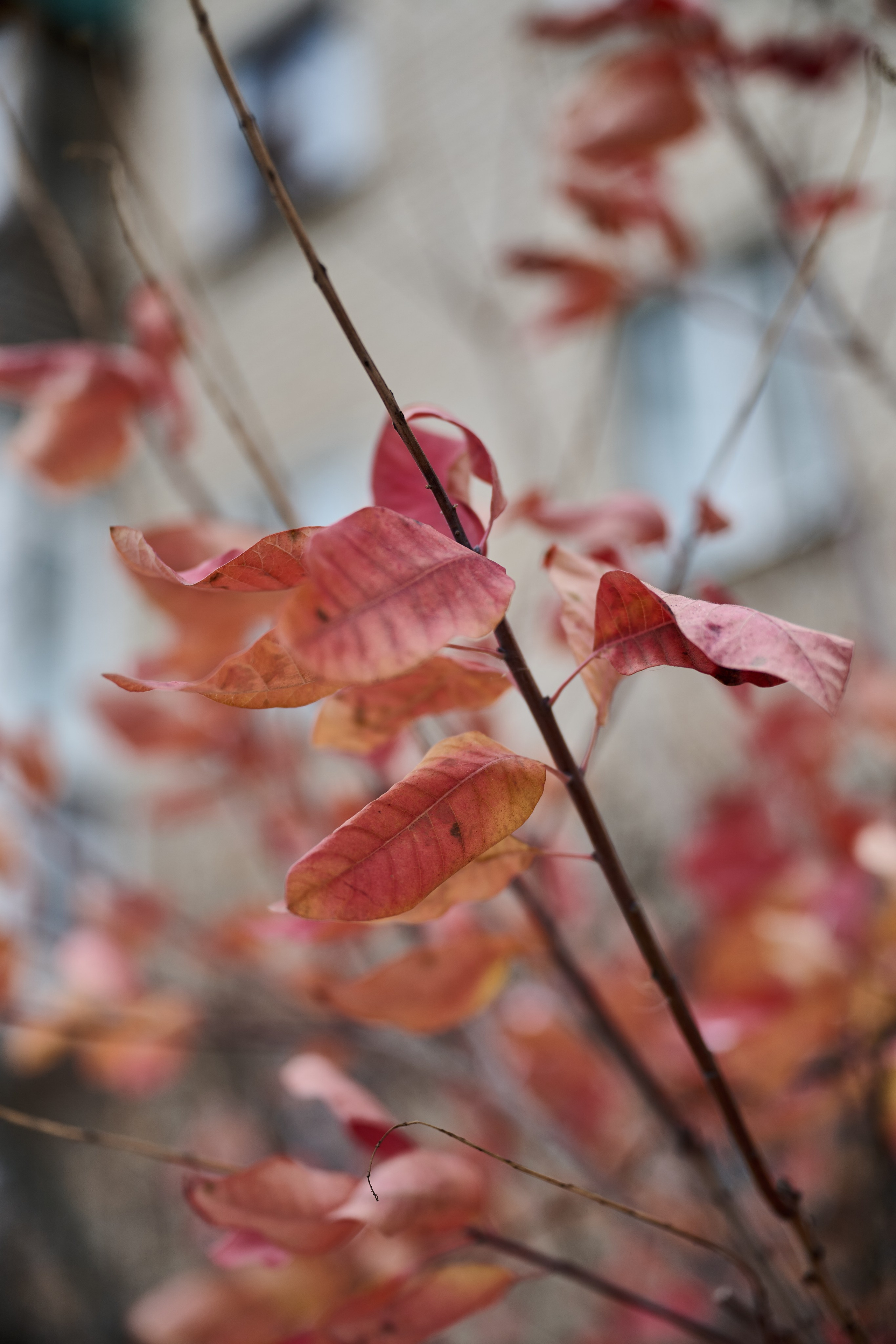Рубежное. Луганская область. Фотопроект «Территории»