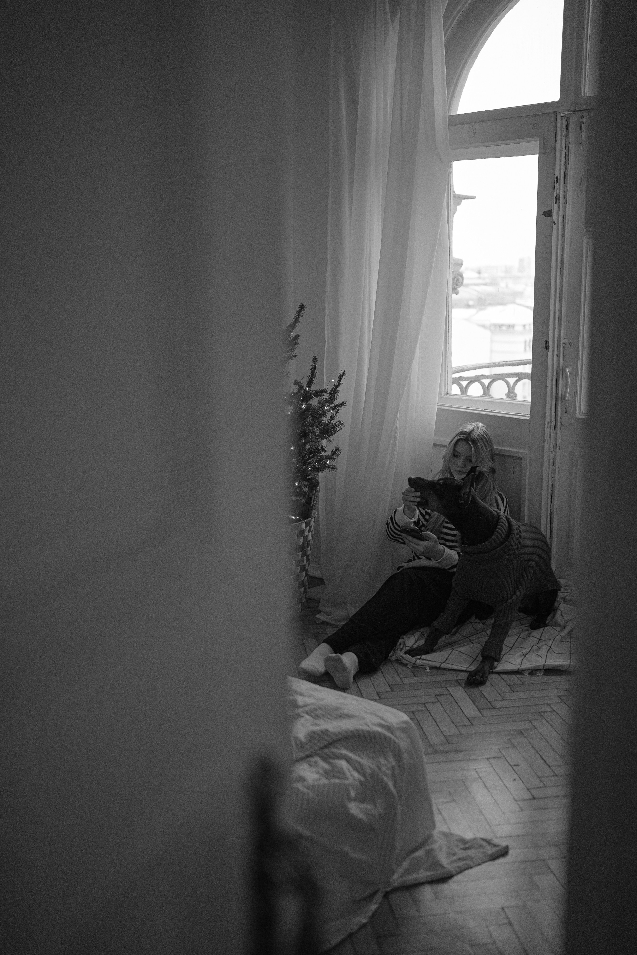 Саша и Асти. Фотограф анималист в Москве и Санкт-Петербурге Свиридова Анна