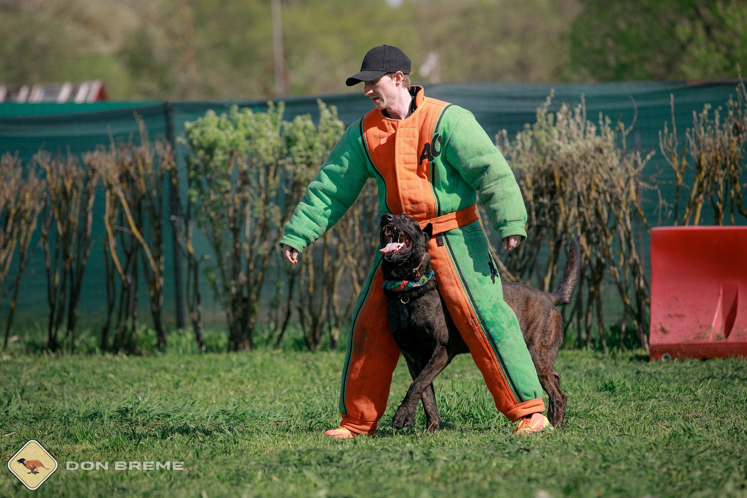 Семинар для фигурантов, день 4. Фотограф-анималист Mary Mart — Москва, Питер