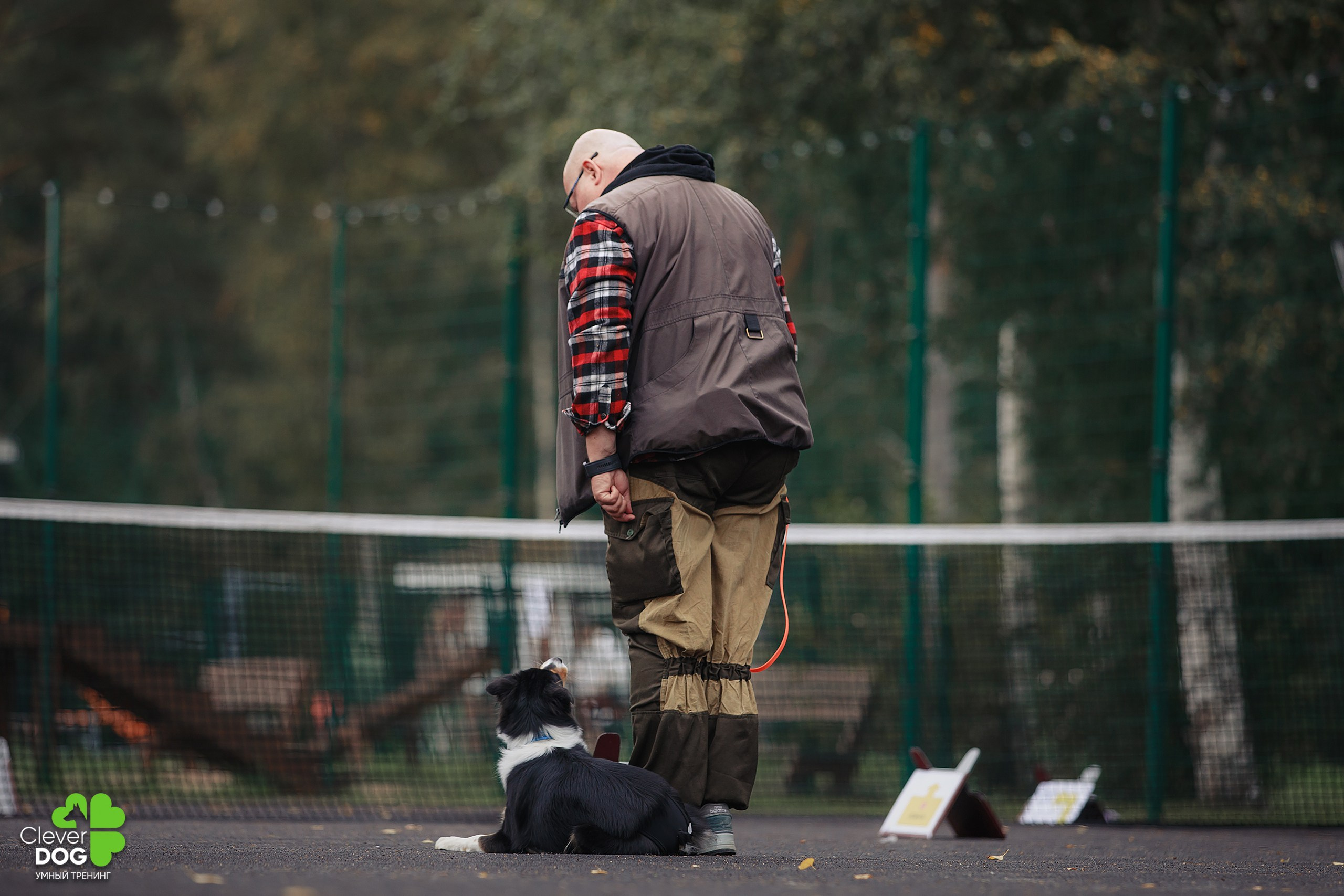 Кинологический лагерь CleverDog, 2024. Фотограф-анималист Mary Mart — Москва, Питер