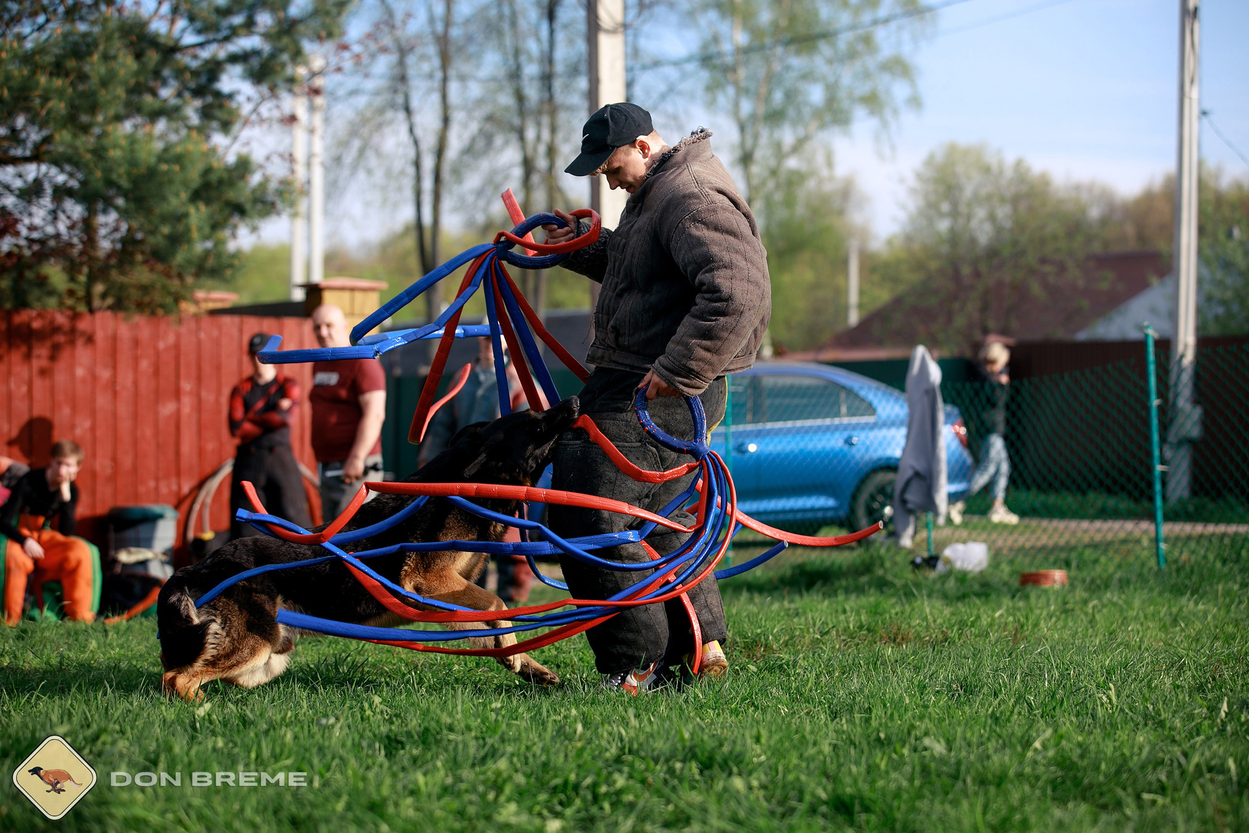 Семинар для фигурантов, день 2. Фотограф-анималист Mary Mart — Москва, Питер