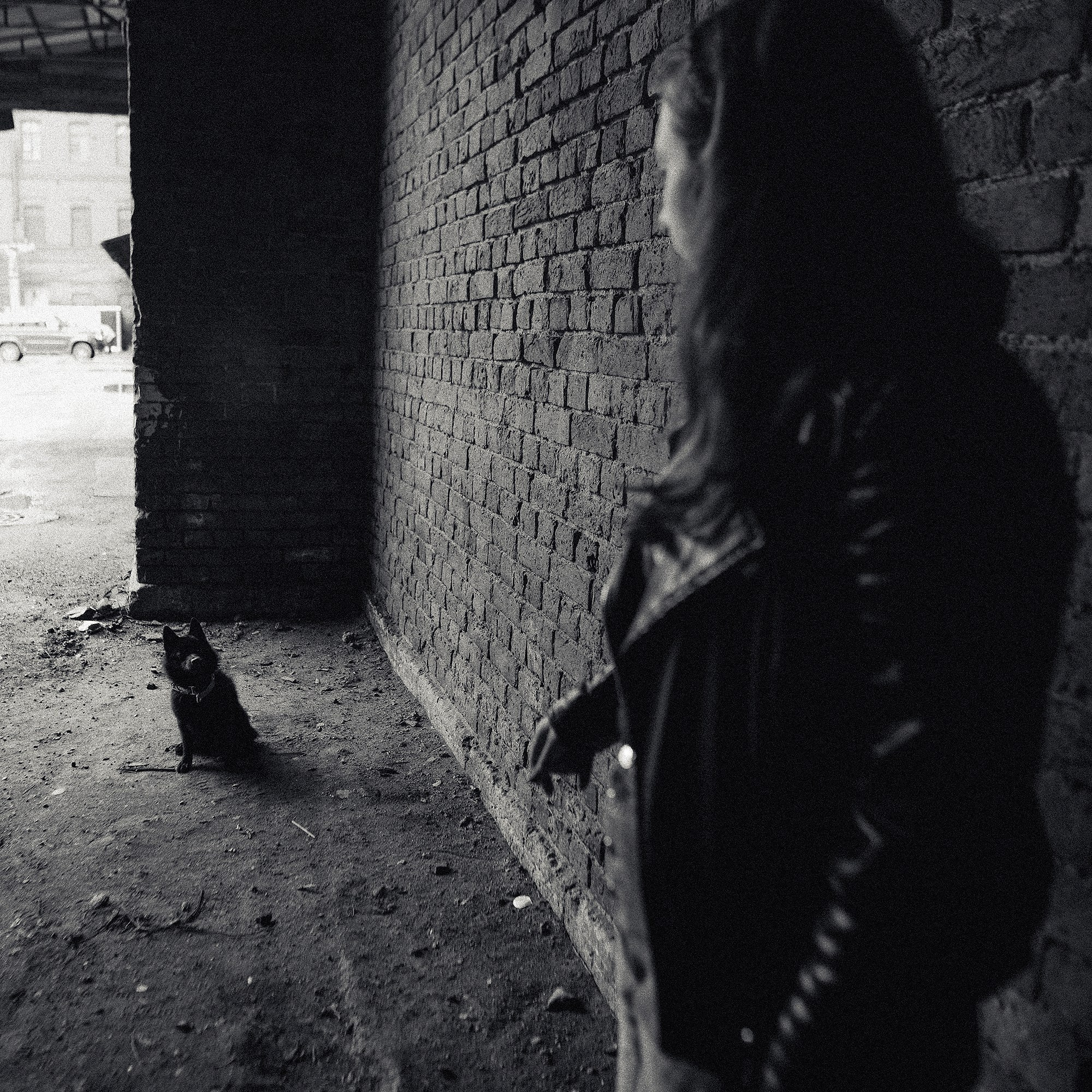 Саша, Маша и шипперке Йети. Фотограф-анималист Mary Mart — Москва, Питер