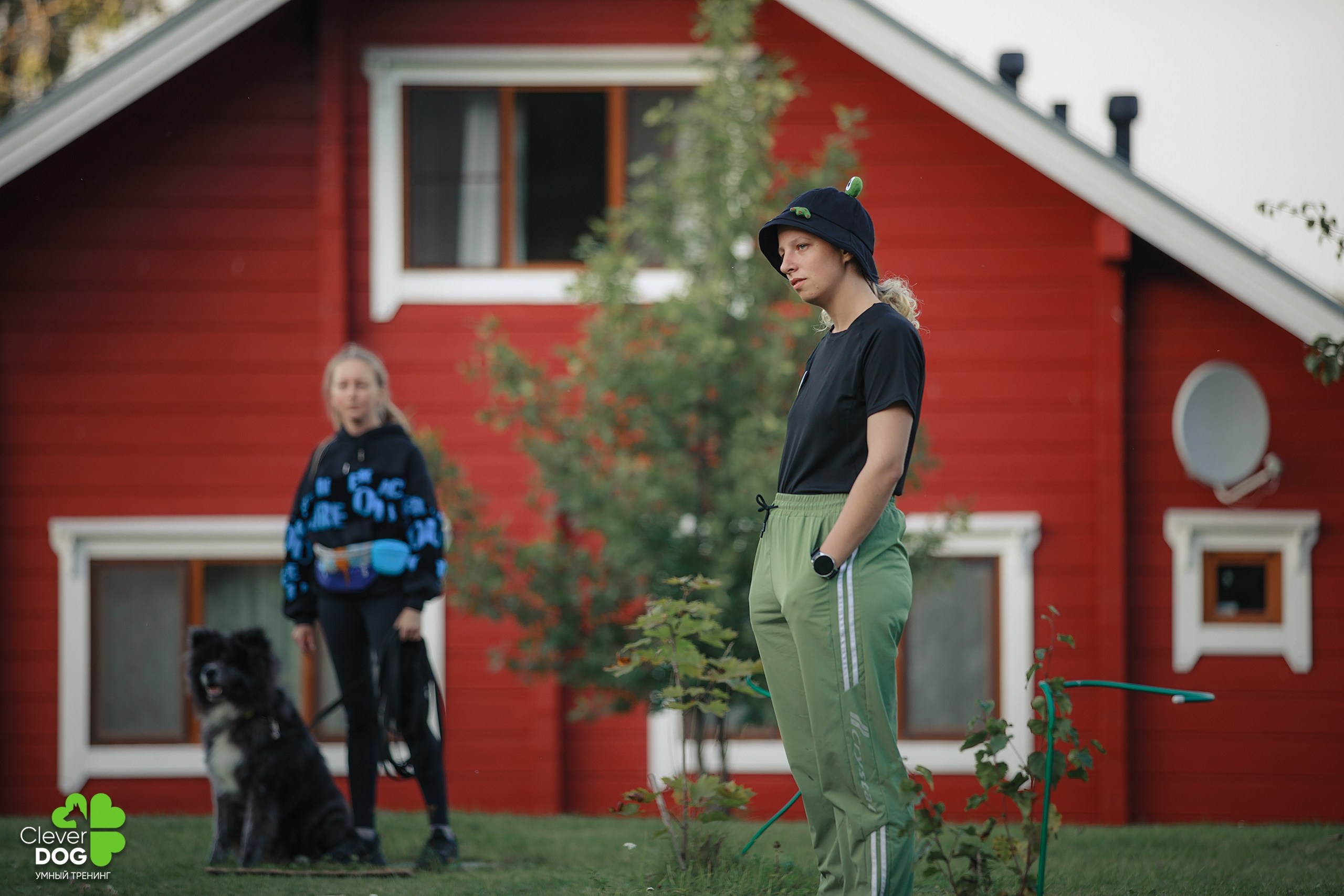 Кинологический лагерь CleverDog, 2024. Фотограф-анималист Mary Mart — Москва, Питер