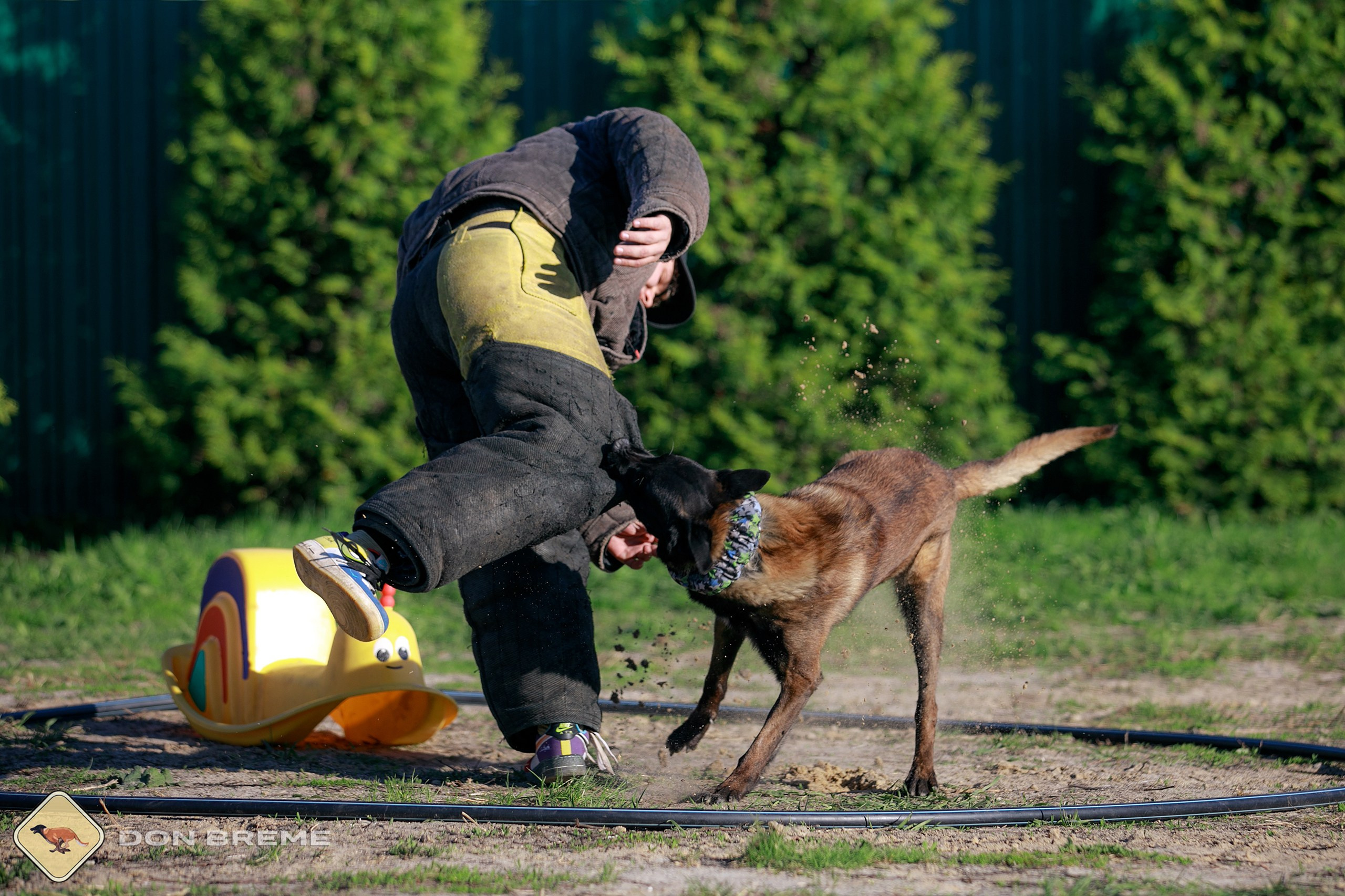 Семинар для фигурантов, день 3. Фотограф-анималист Mary Mart — Москва, Питер