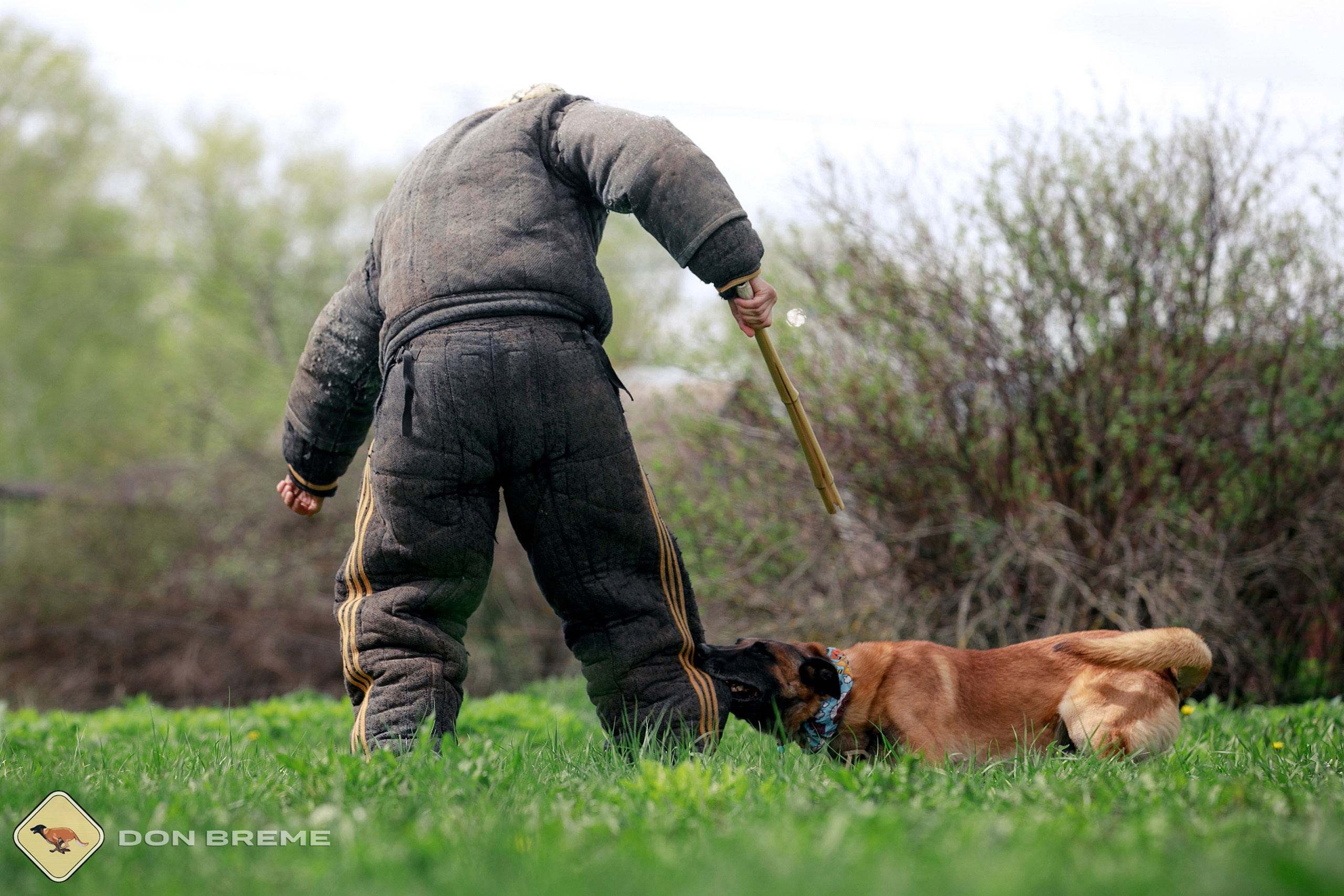 Семинар для фигурантов, день 2. Фотограф-анималист Mary Mart — Москва, Питер