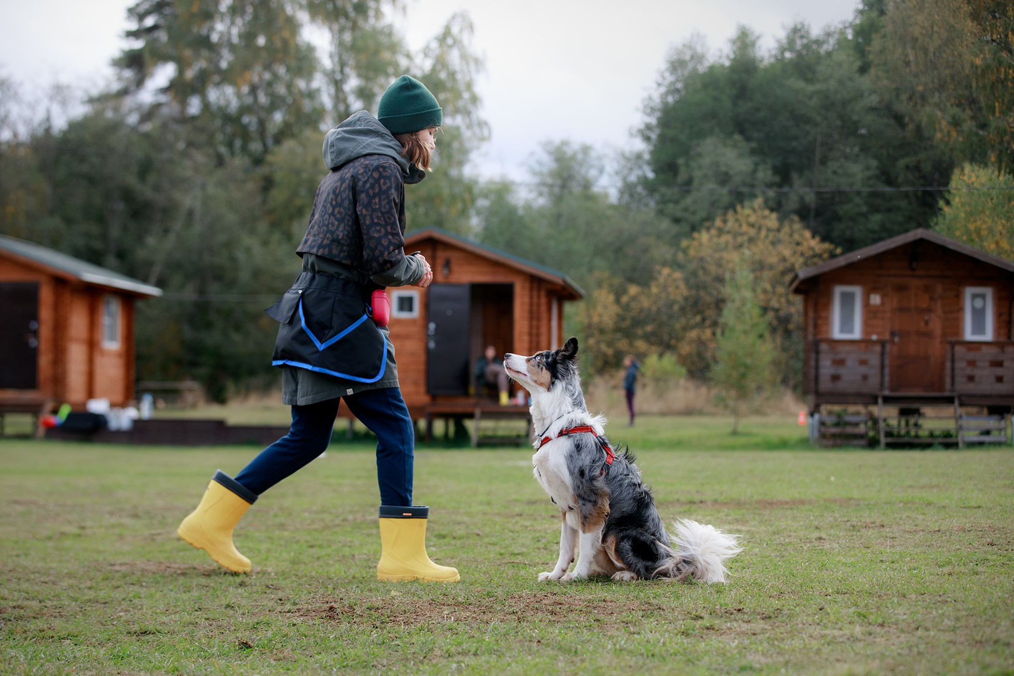 Лагерь по ОБД с Инной Баженовой. Фотограф-анималист Mary Mart — Москва, Питер