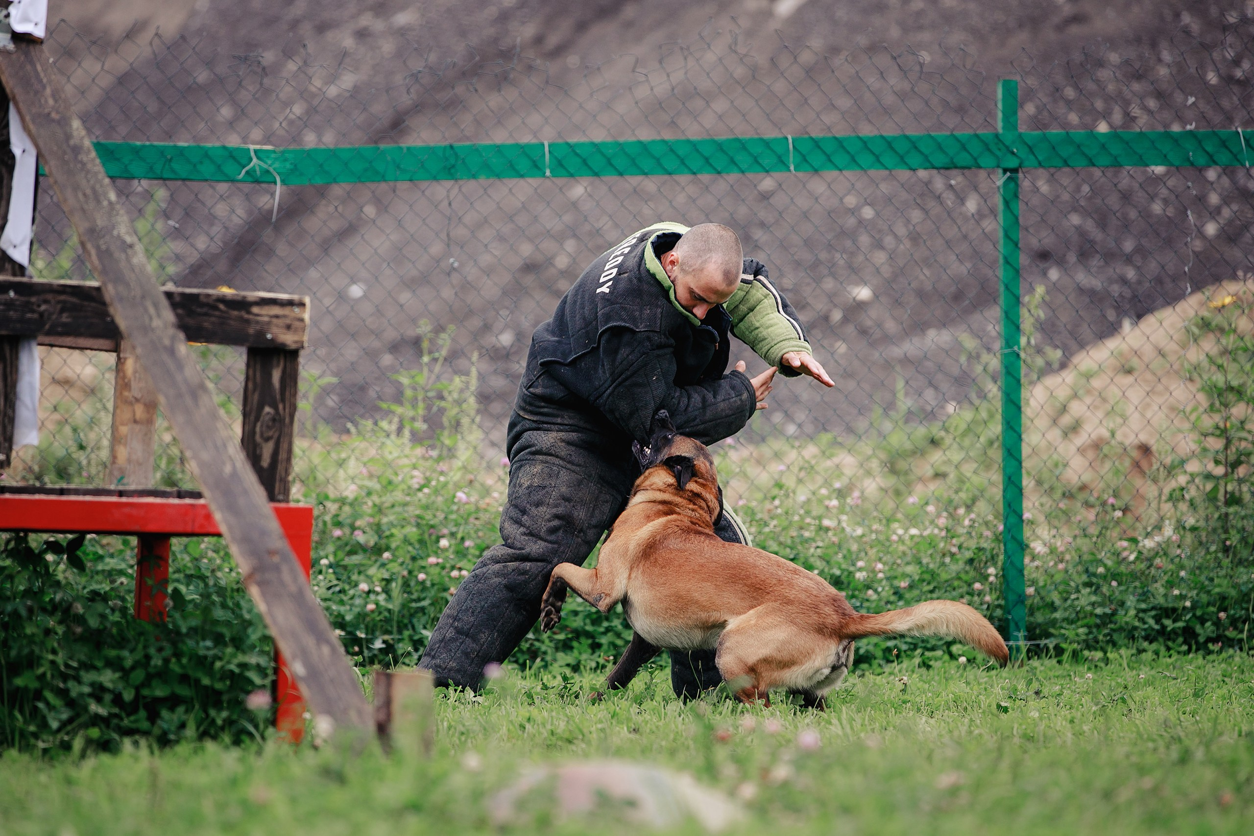 Мондьоринг М1, М2, М3, Вологда. Фотограф-анималист Mary Mart — Москва, Питер