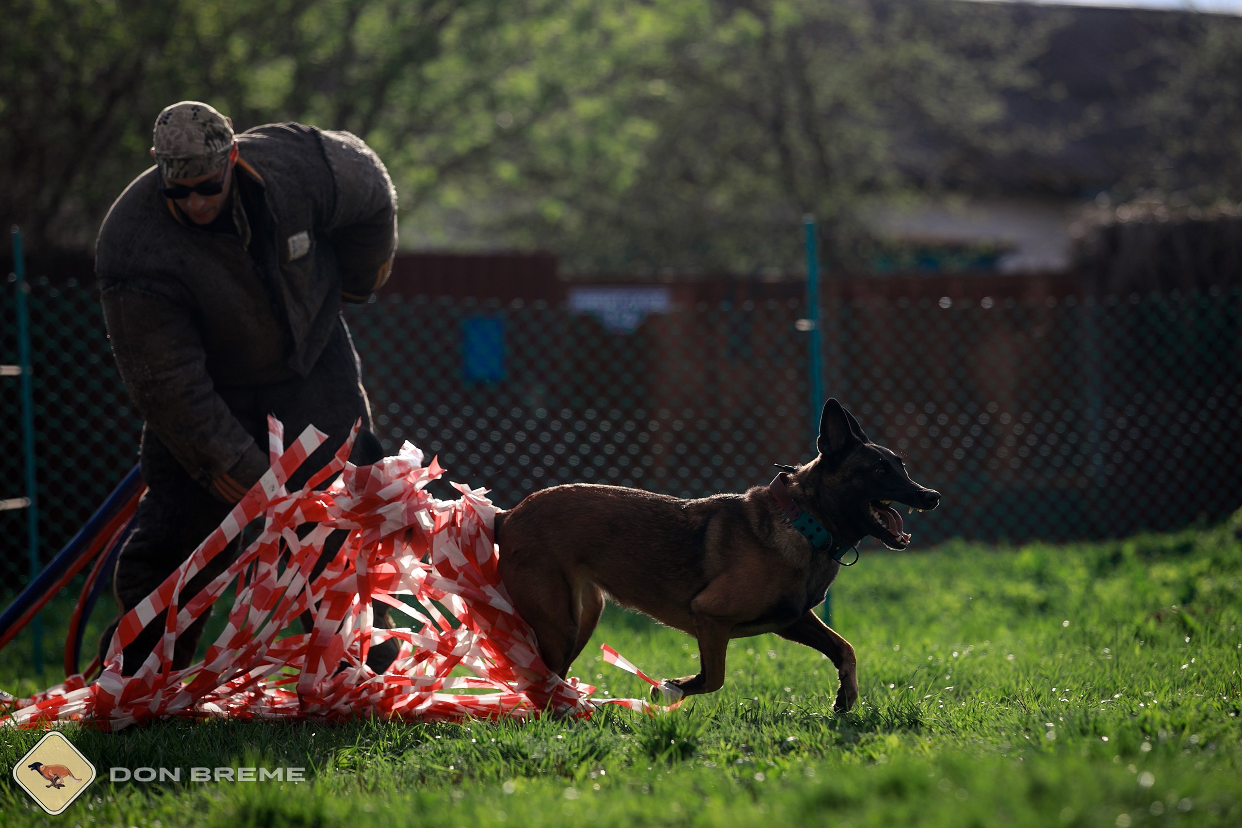 Семинар для фигурантов, день 2. Фотограф-анималист Mary Mart — Москва, Питер