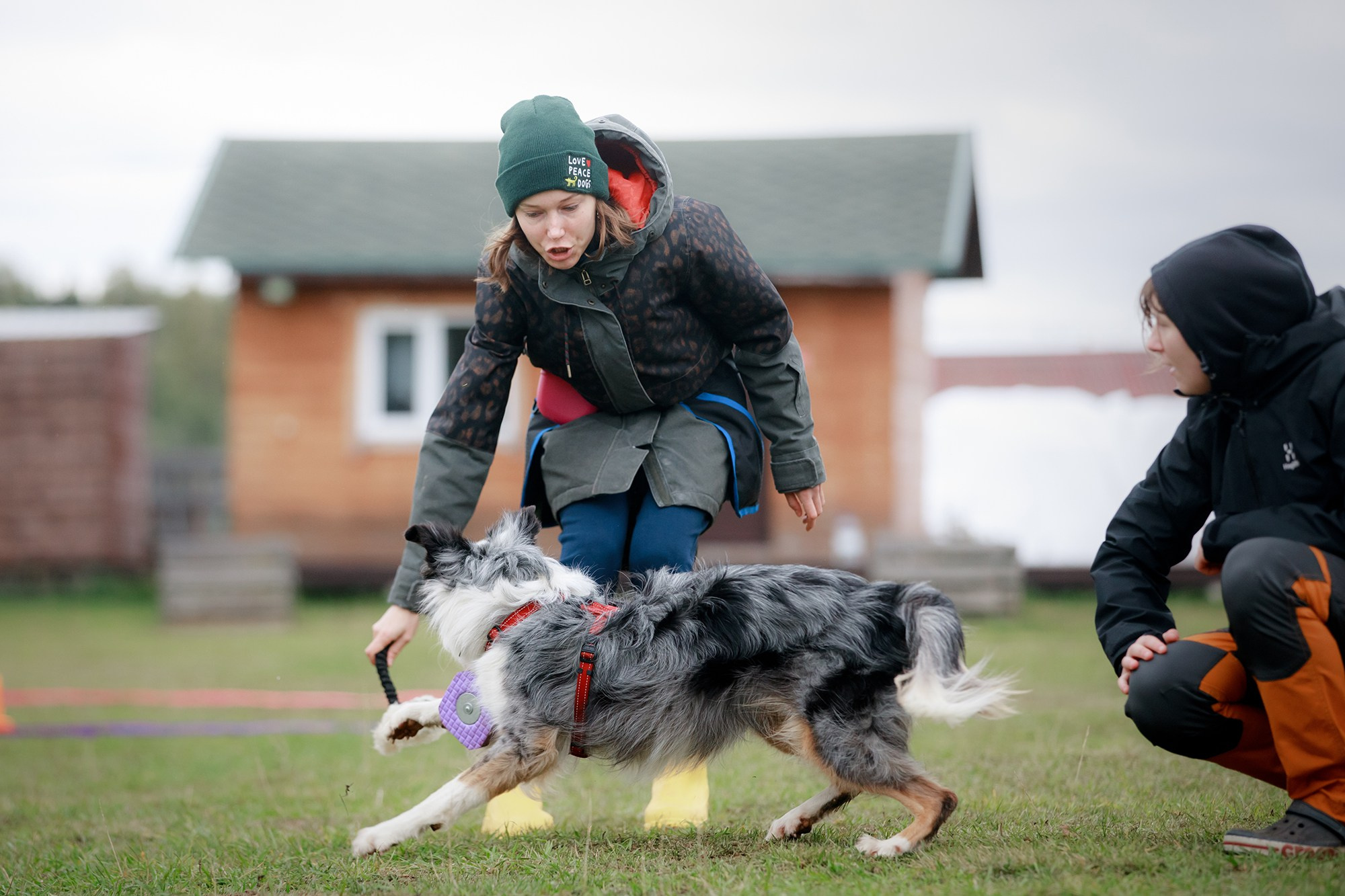 Лагерь по ОБД с Инной Баженовой. Фотограф-анималист Mary Mart — Москва, Питер