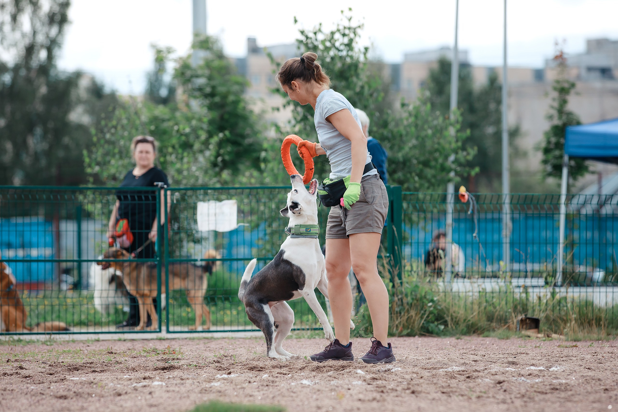 Питч&Гоу + веселые старты. Фотограф-анималист Mary Mart — Москва, Питер