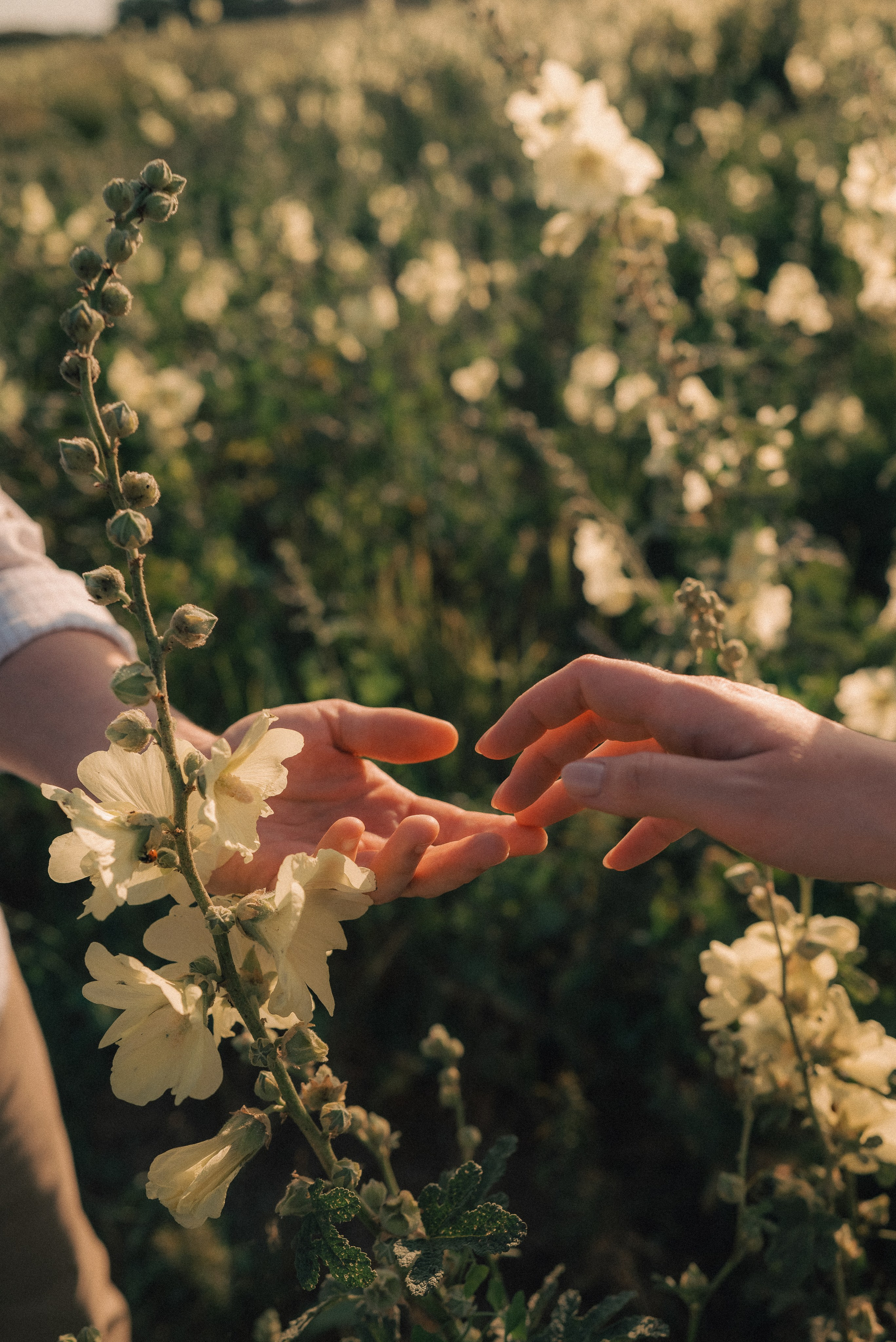 Путешествие на велосипеде. Семейный фотограф Ростов-на-Дону Татьяна Соколова
