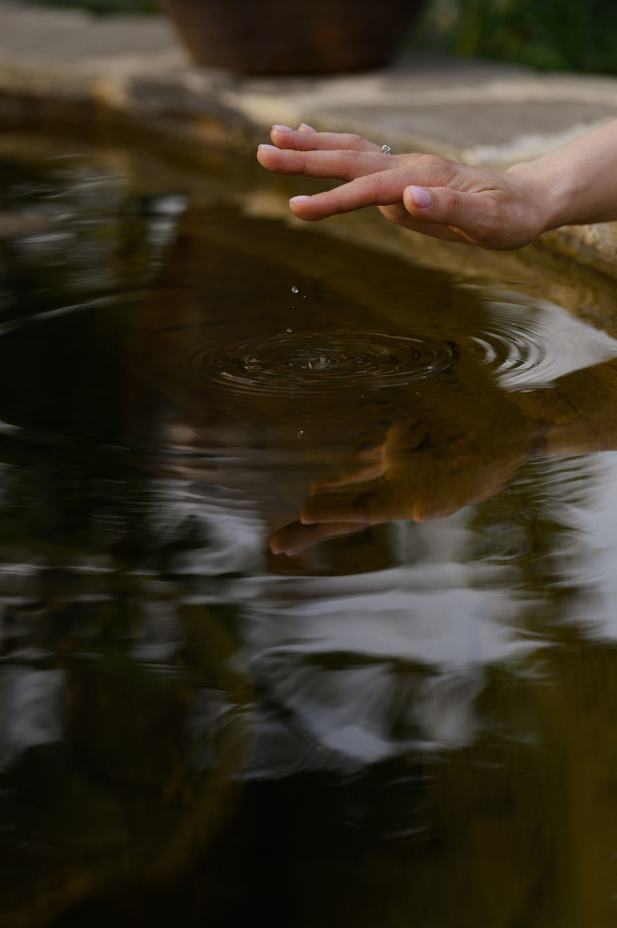 Тимур и Анжелика. Свадебный фотограф и видеограф