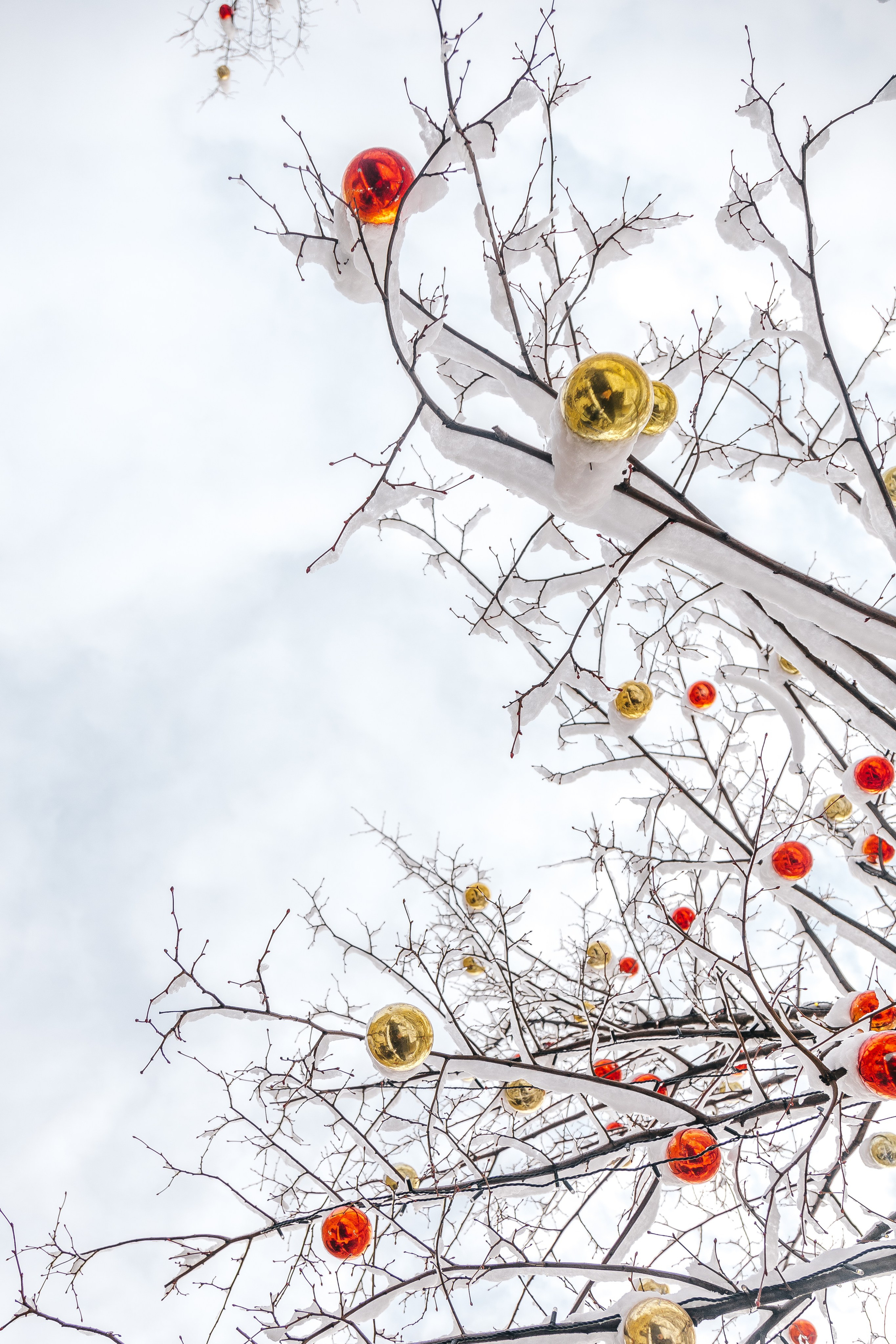 Счастье внутри. Репортажный и семейный фотограф в Москве
