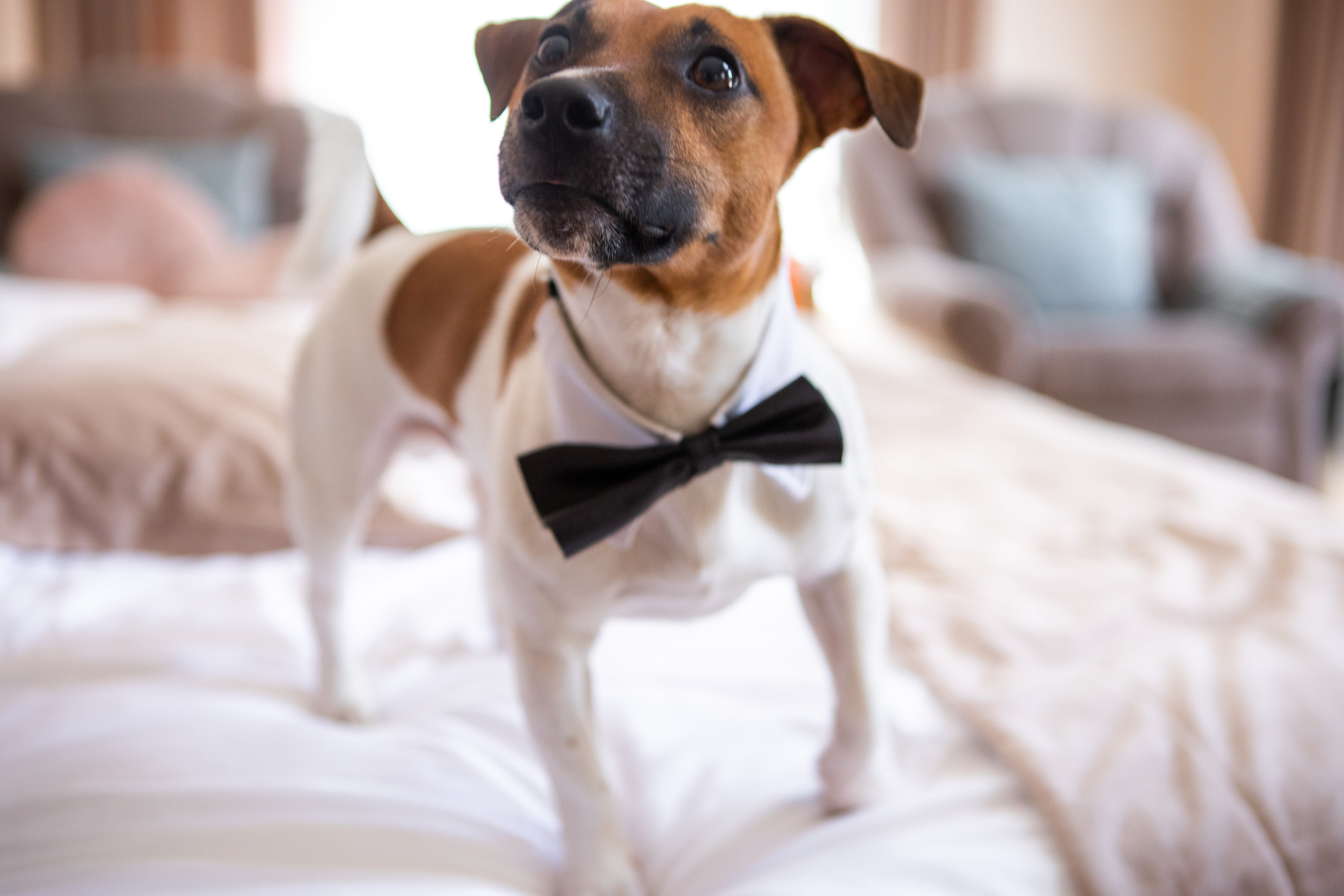 АЛИНА И КИРИЛЛ. Свадебный, семейный, детский фотограф в Екатеринбурге.Фотосессия родов